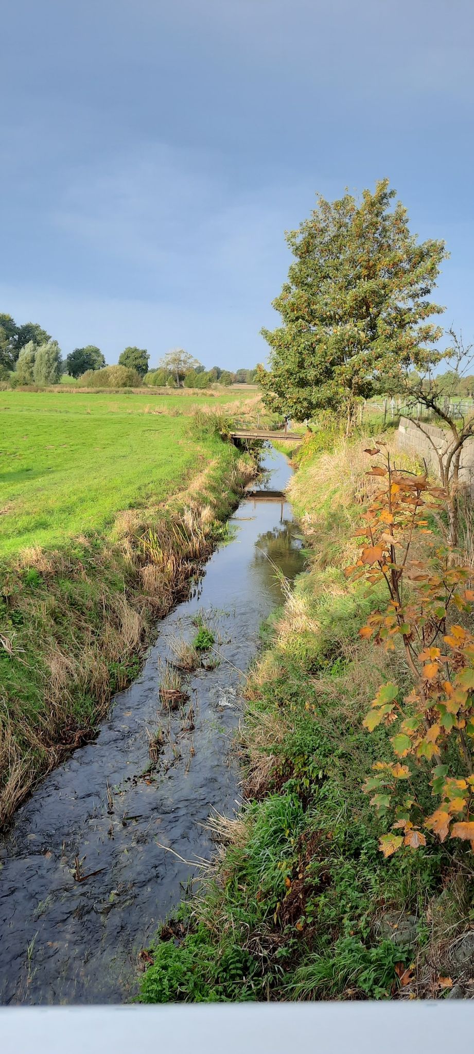 An der Aue...