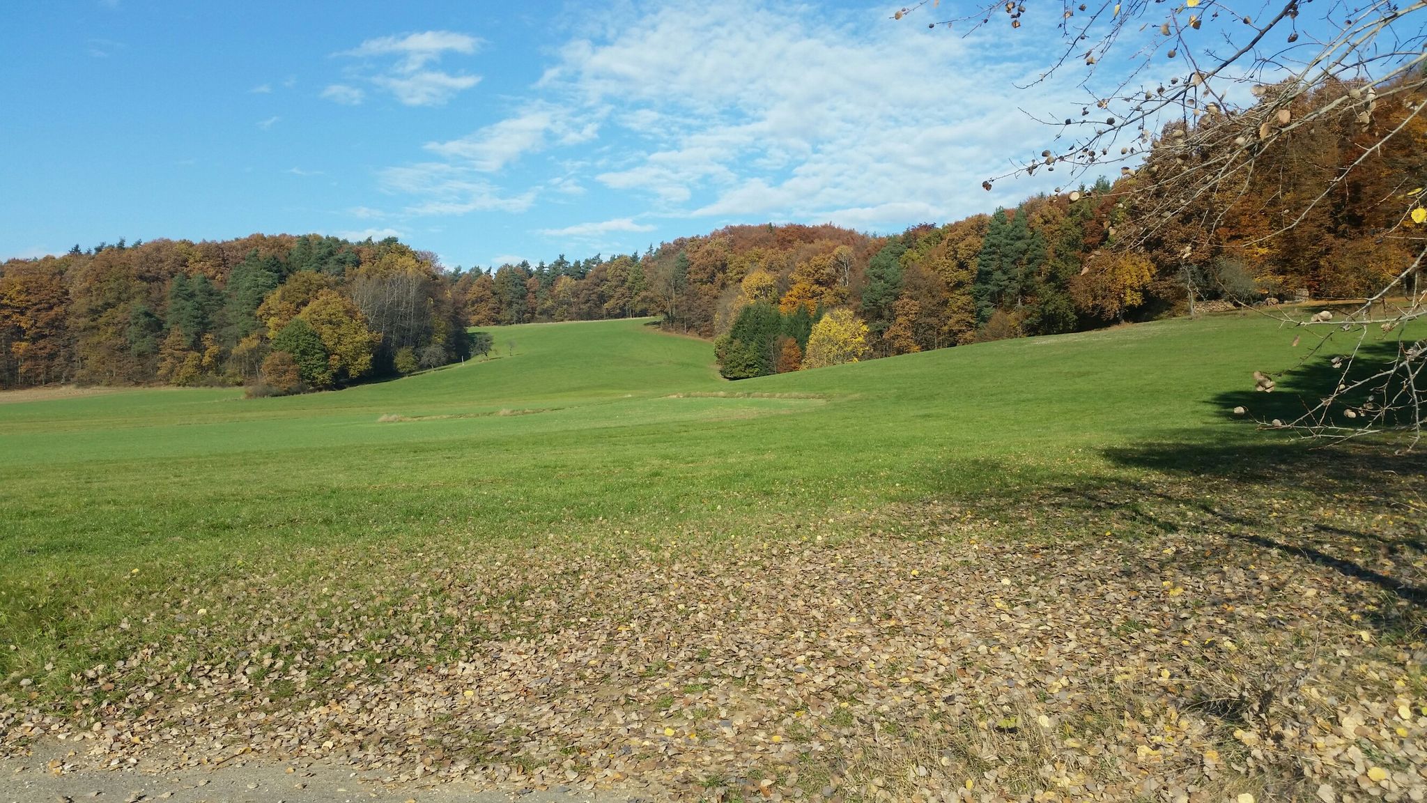Herbststimmung