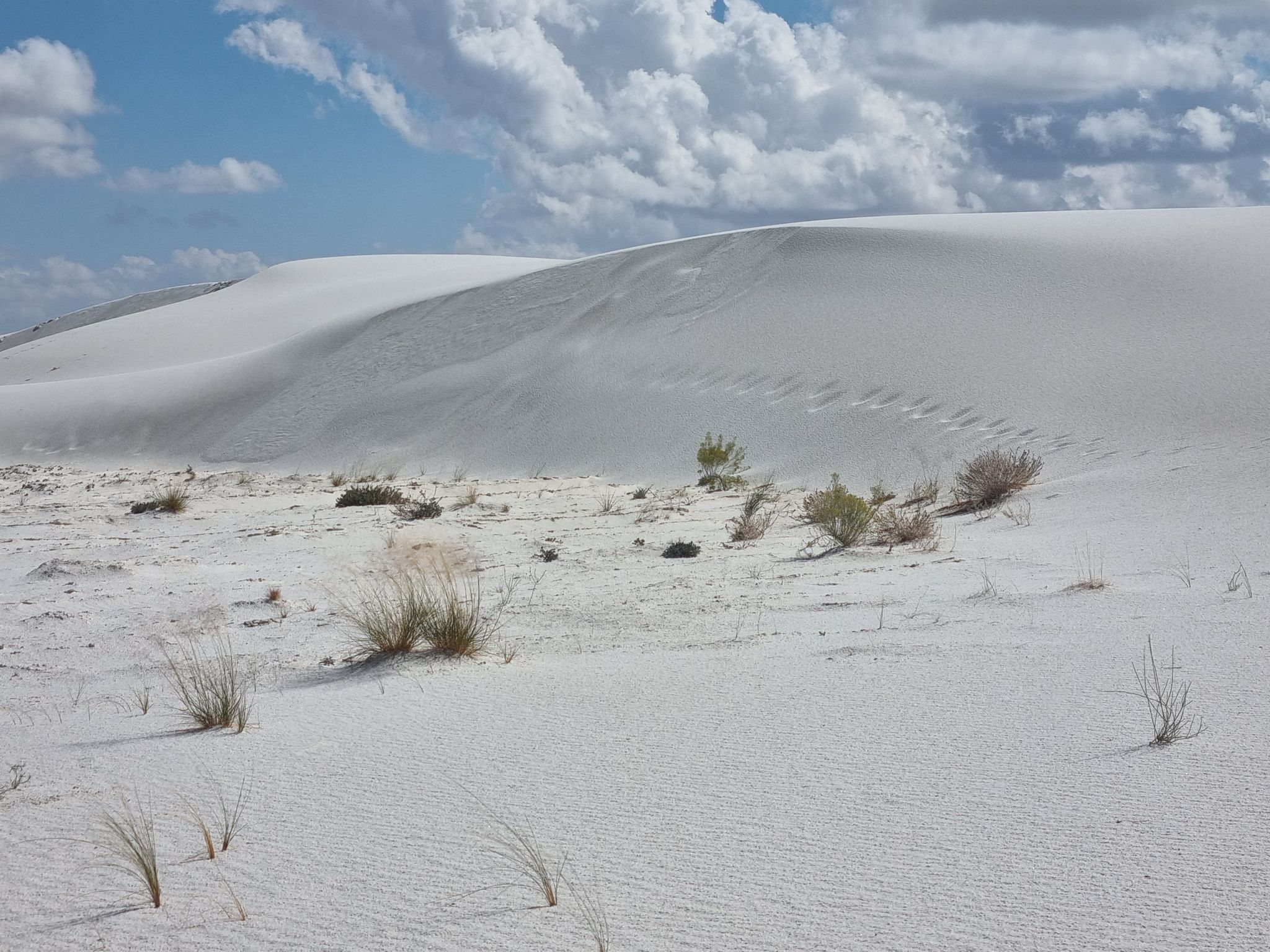 White sand dunes with sparse desert plants under a partly cloudy sky. - Running loop from White Sands National Monument
