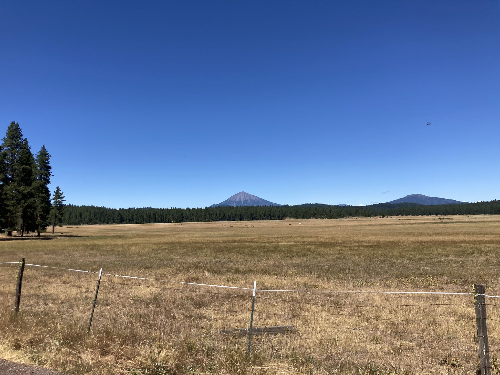 Sunny day over a vast field with a distant mountain and forest. - Hyatt & Howard Prairie Lake loop