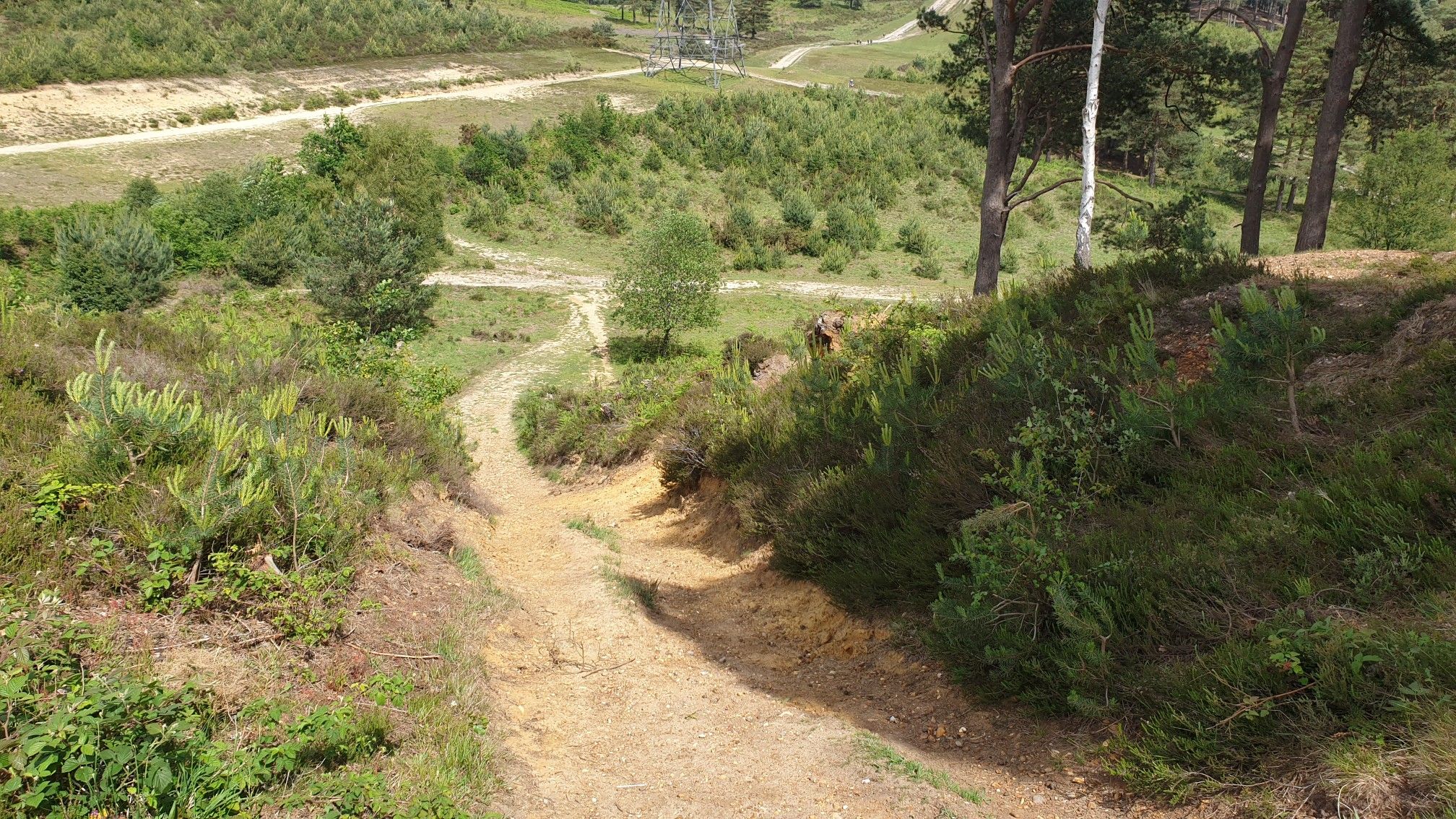 The Ridge