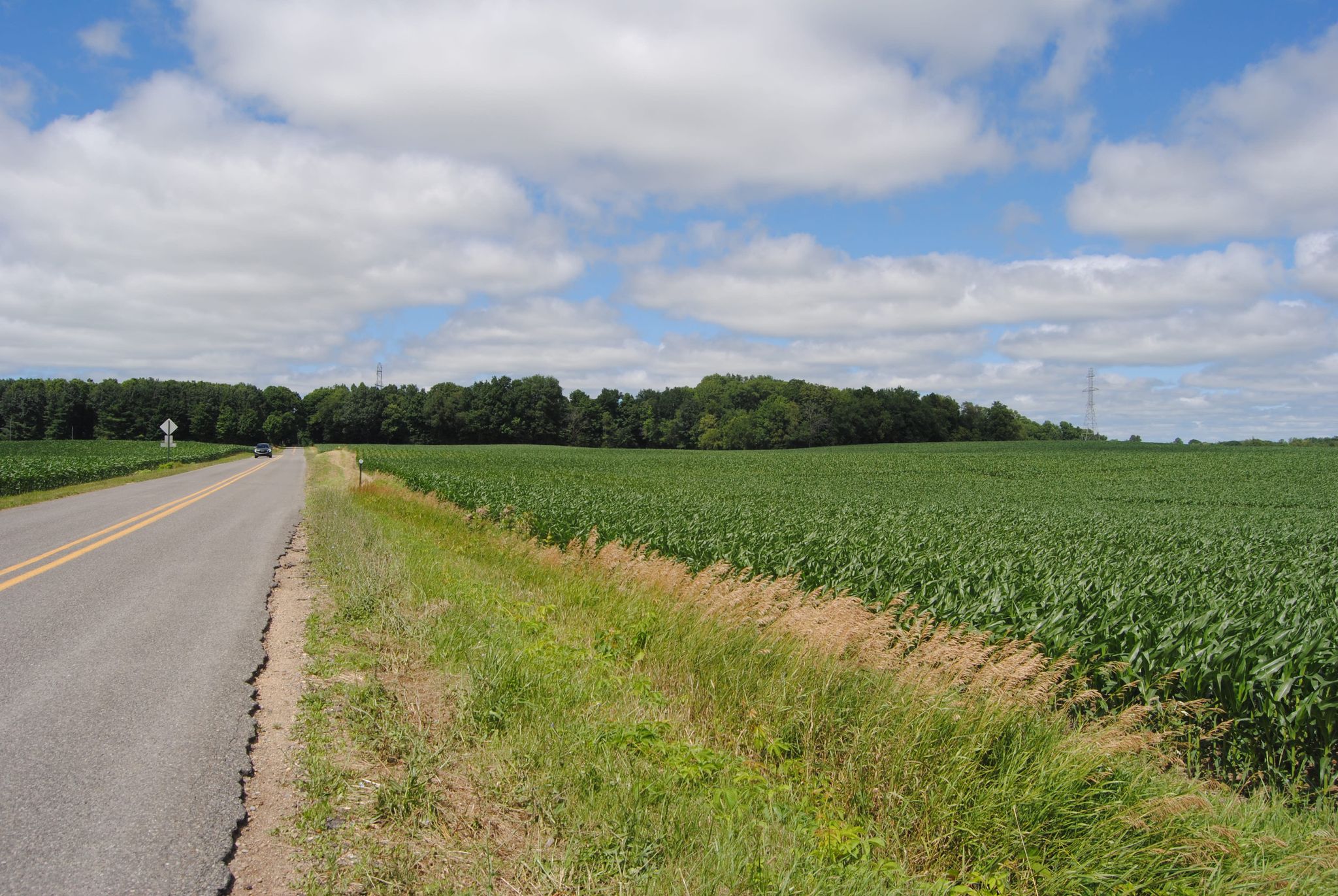 A paved road next to a green cornfield under a cloudy blue sky. - Benton Harbor County - Benton Harbor Loop