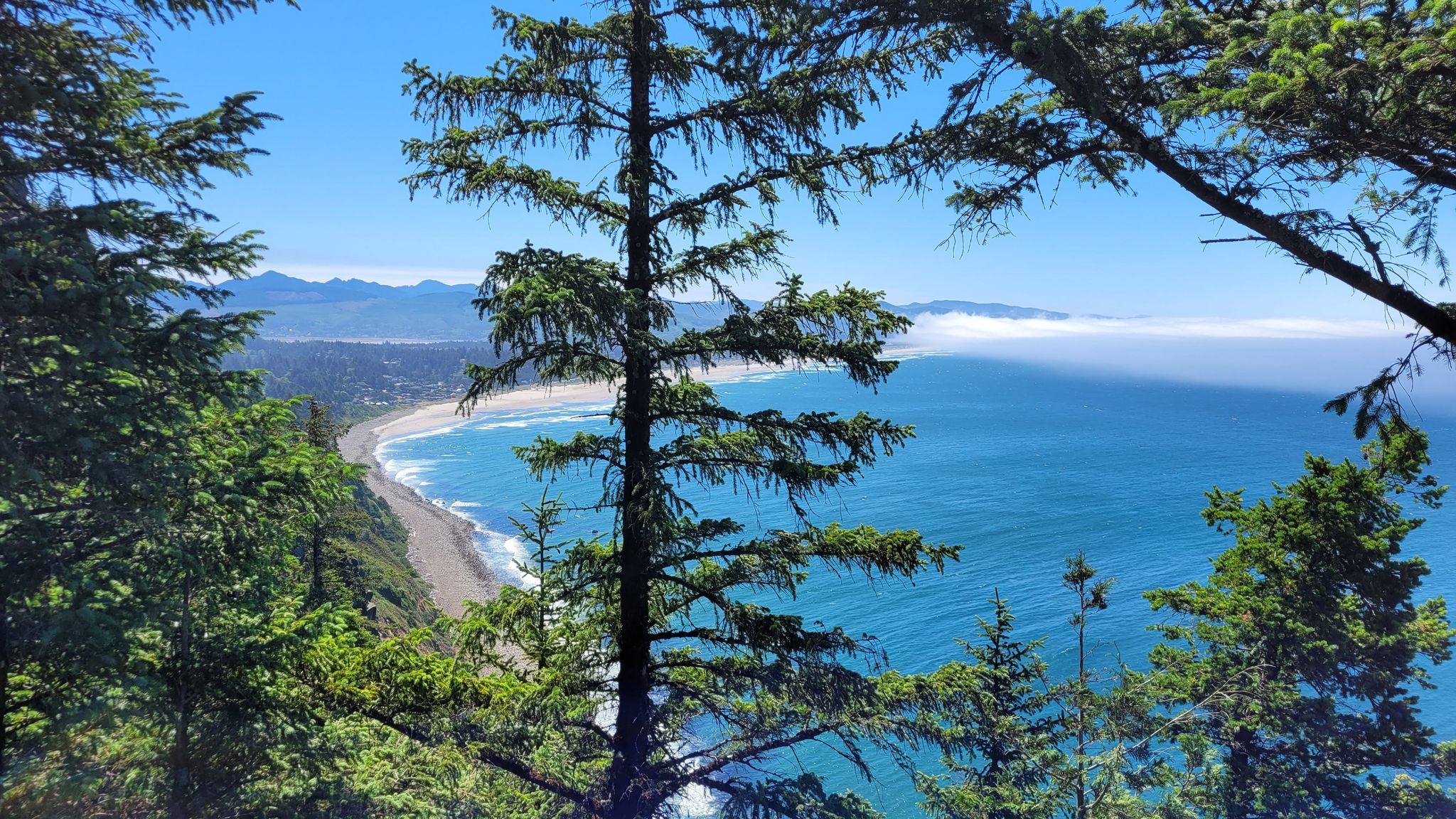 Bright coastal view with blue ocean, sandy beach, and distant mist through trees. - Neahkahnie Mountain and Elk Flats Trail Loop