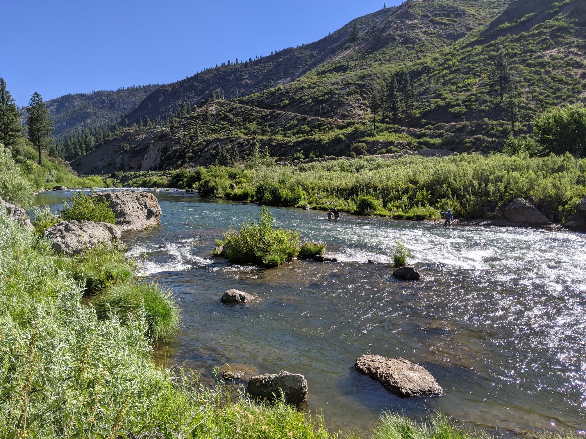 Two people fish in a sunny, clear river surrounded by green hills. - Truckee Downtown – Fiftyfifty Brewing Co. loop from Truckee
