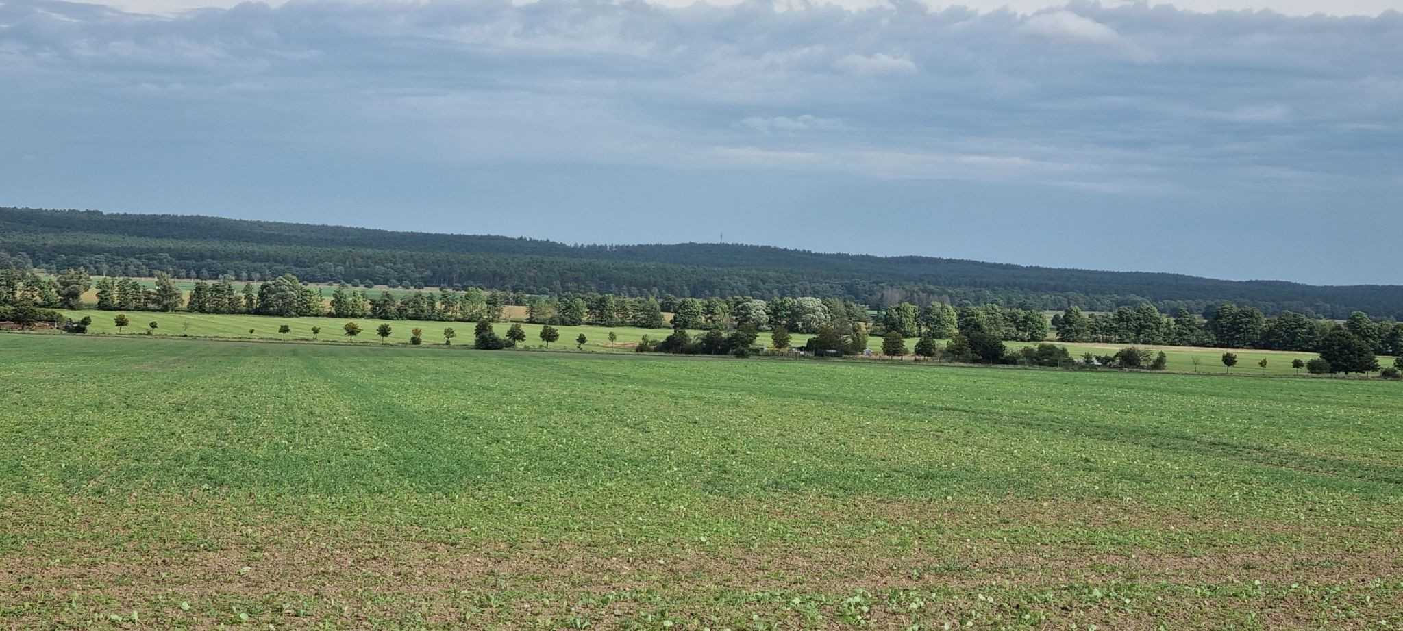 Weitblick