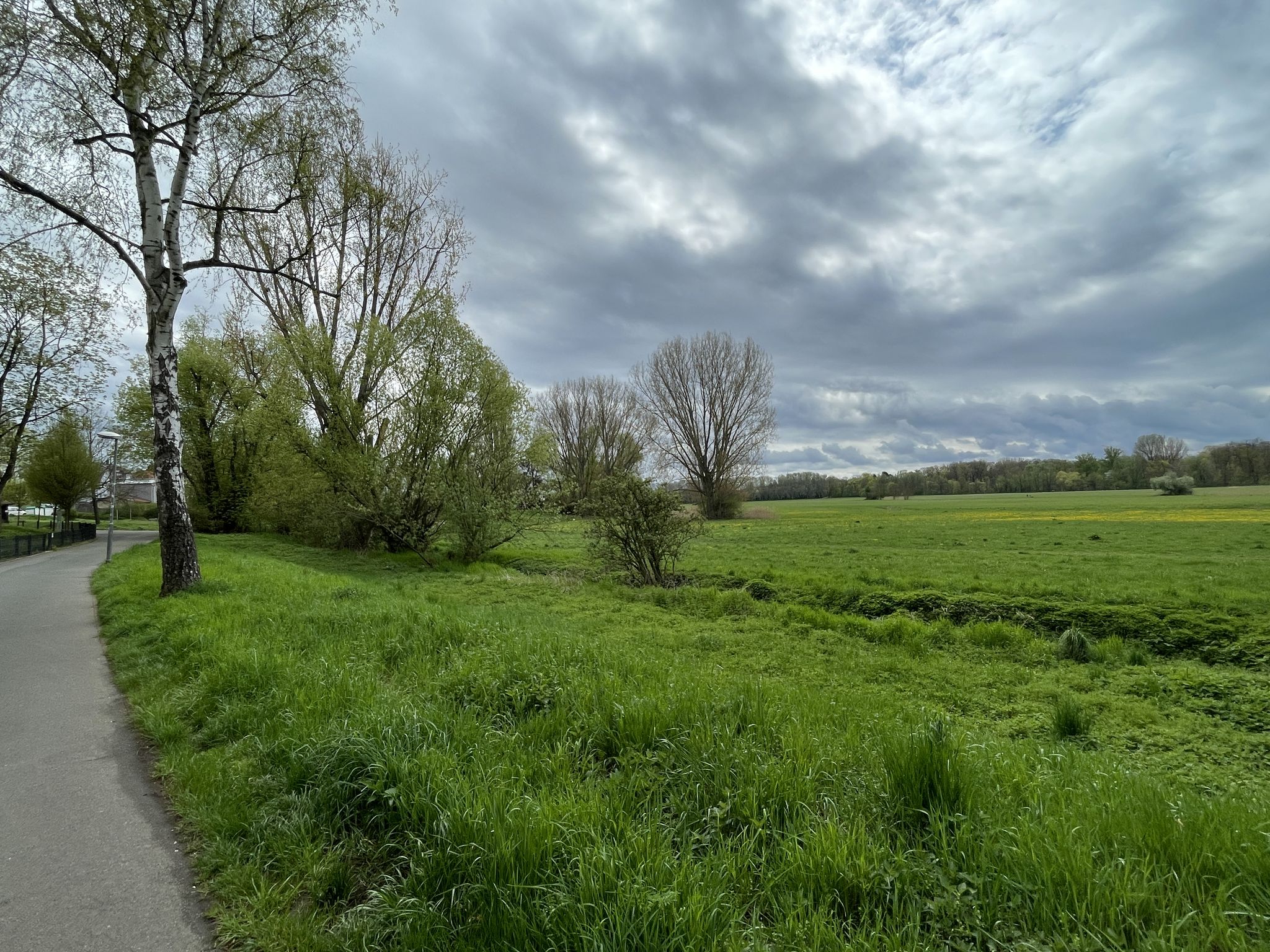 Blick zurück; Wiesengrund, Fürth