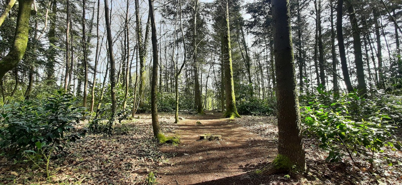 Bois des Hardys Behelec