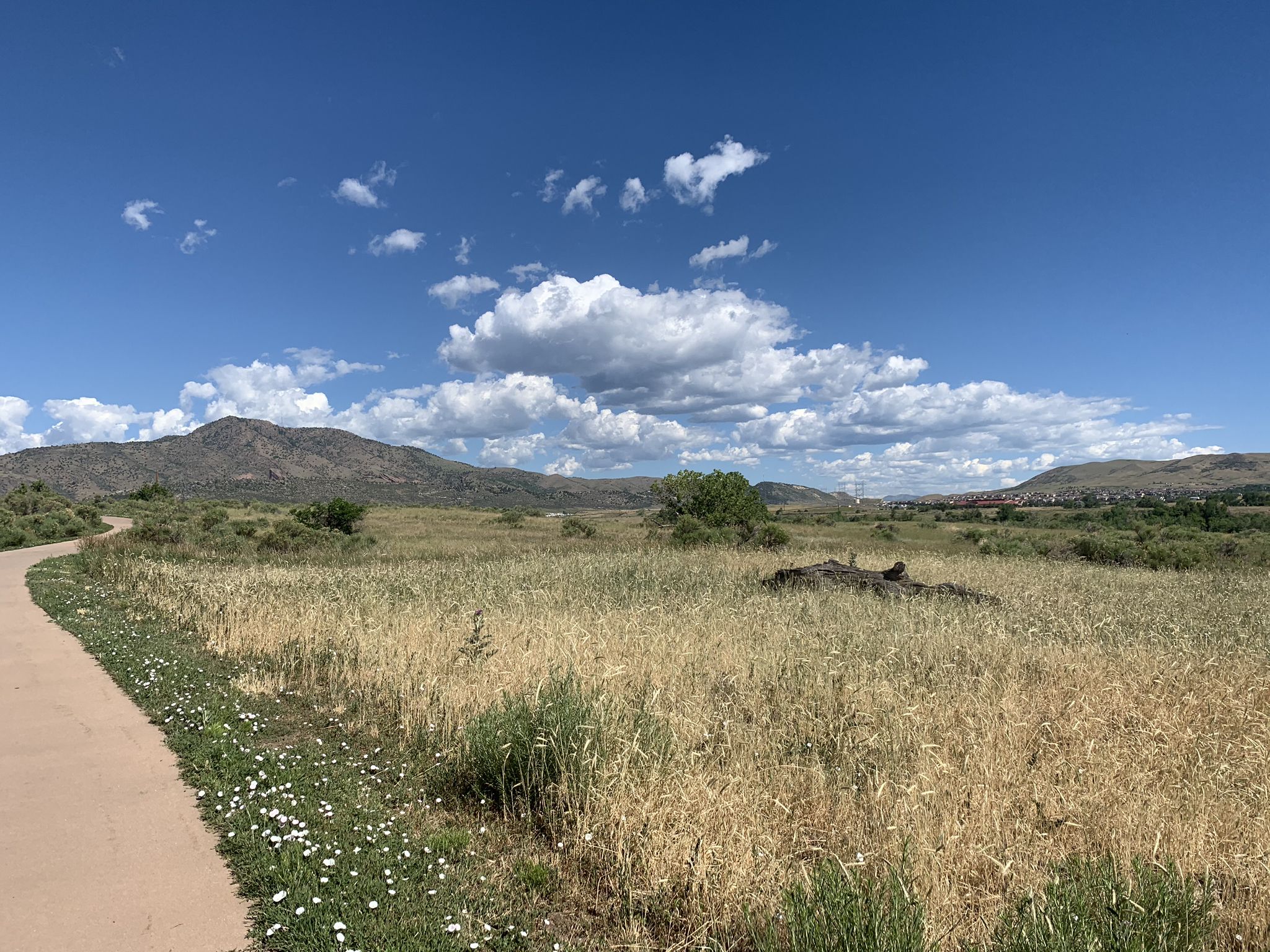 Paved path next to a field of dry grass, with mountains under a blue sky. - Big Soda Lake – Bear Creek Trail in Morrison loop from Dakota Ridge High School