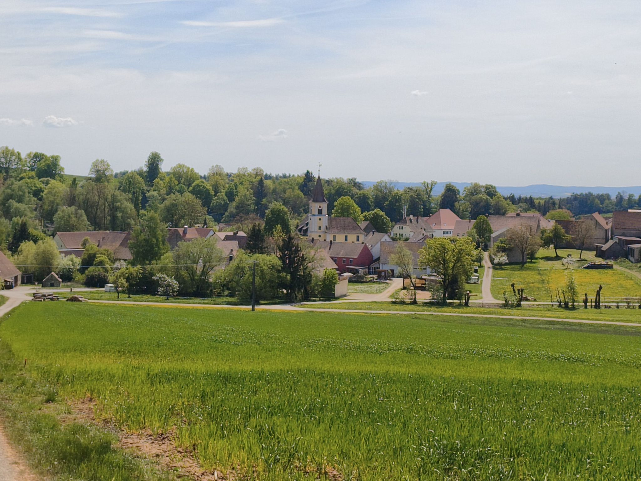 Steinhardt