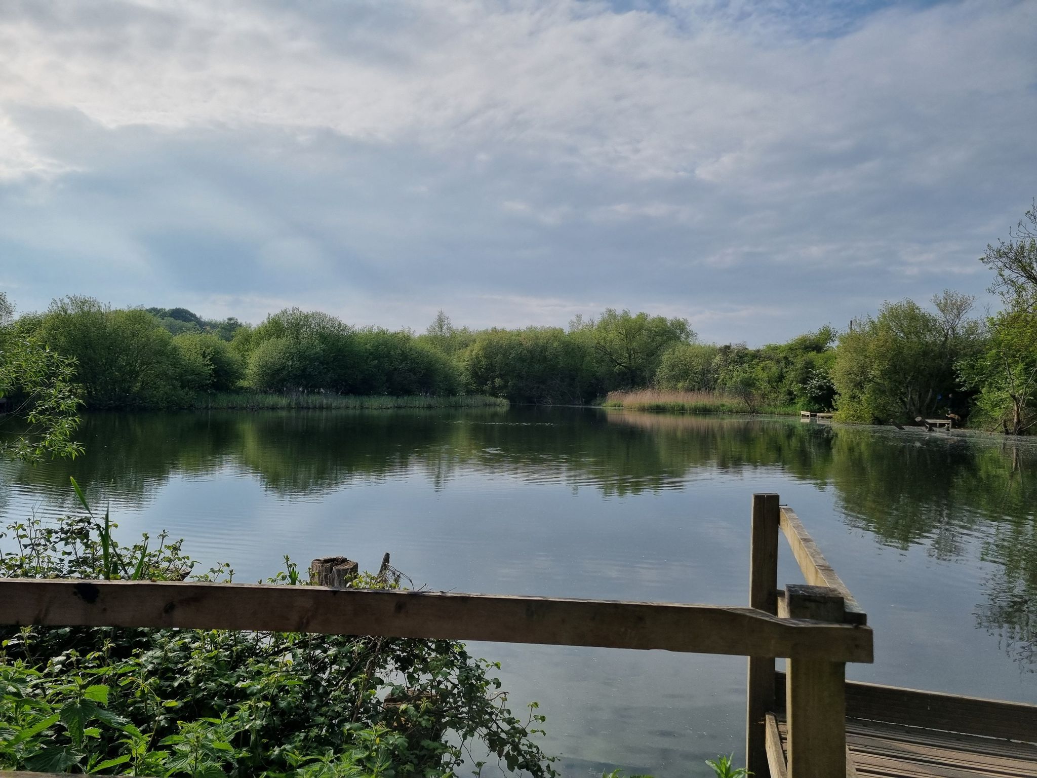 Vivash park, small fishing lake and recreational area