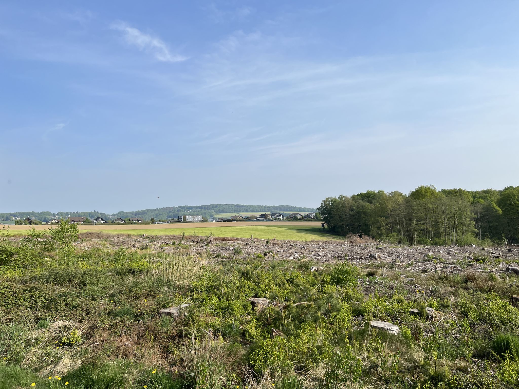 Blick Richtung Hillerscheider Straße