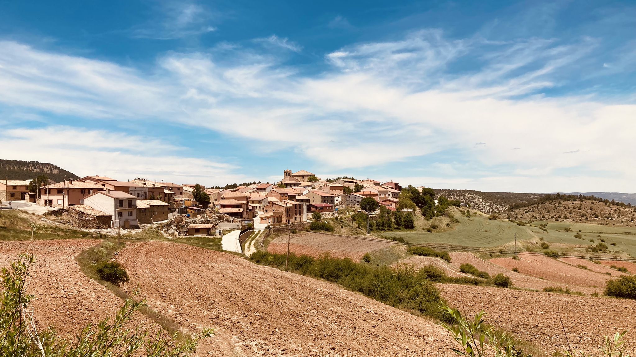 Moscardón