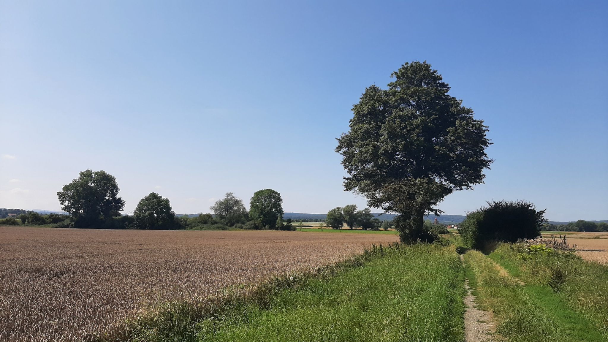"Fuchsfarm" Feuchtgebiet