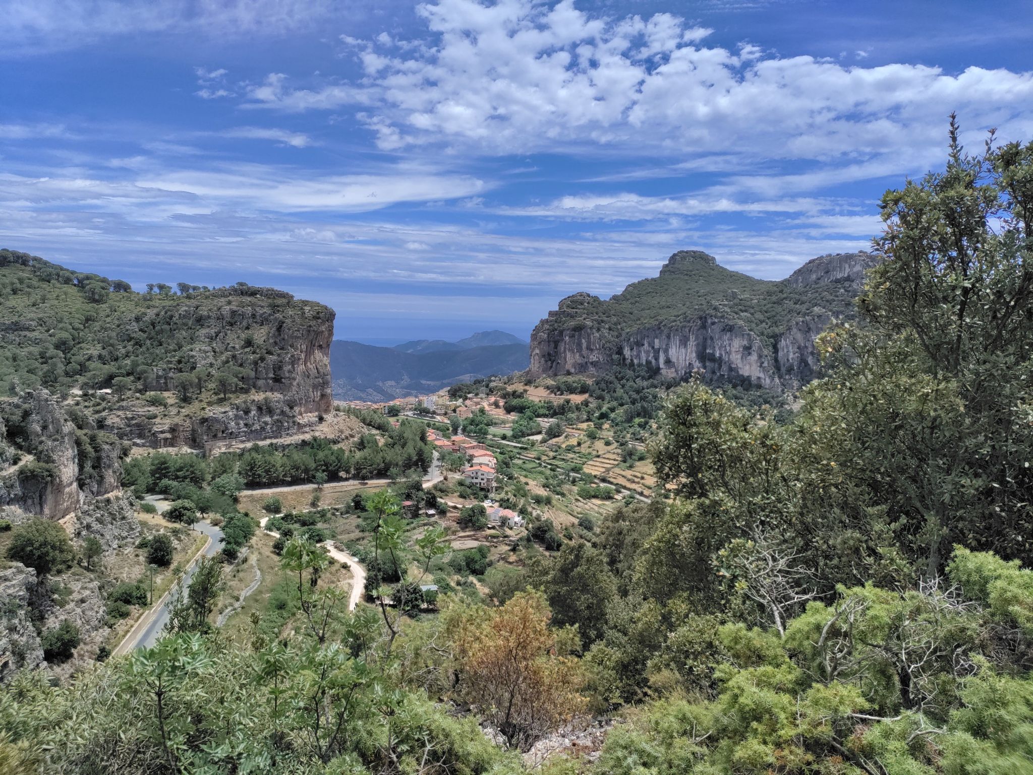 Panoramic view