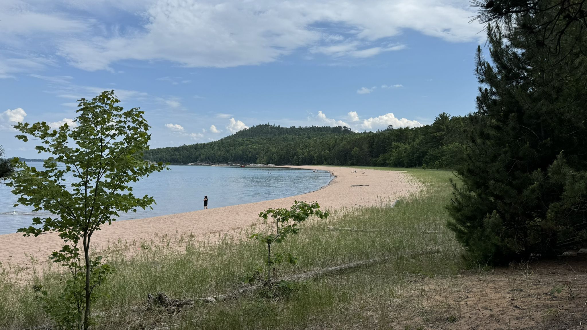 A person walks on a wide sandy beach beside calm water and forested hills. - Shoreline Trail