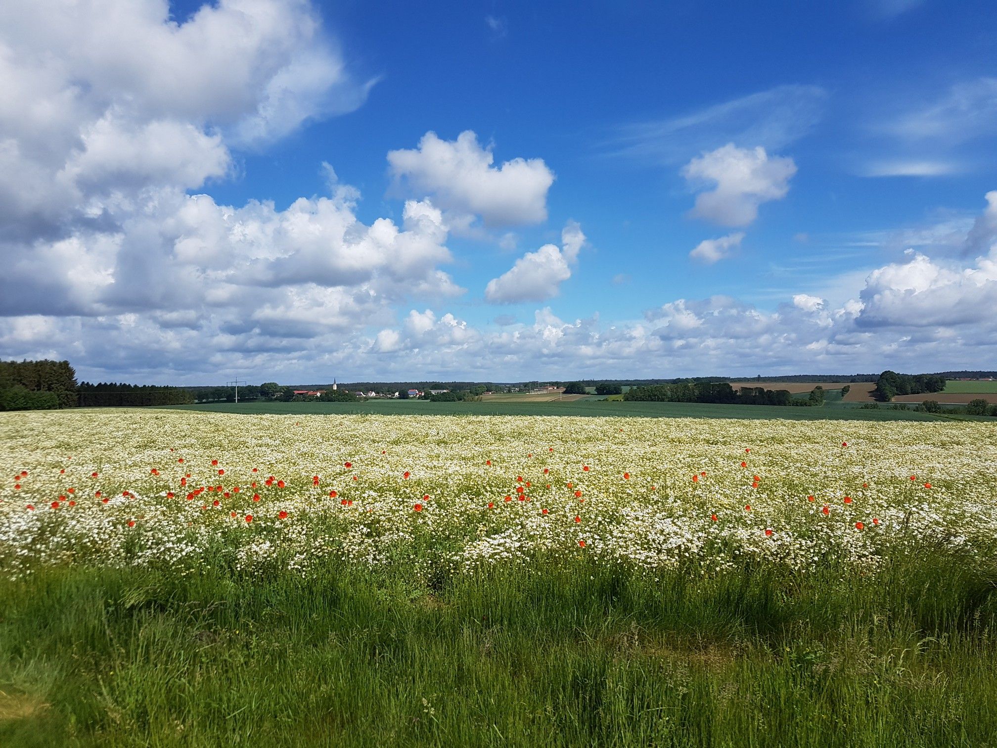 Panoramablick