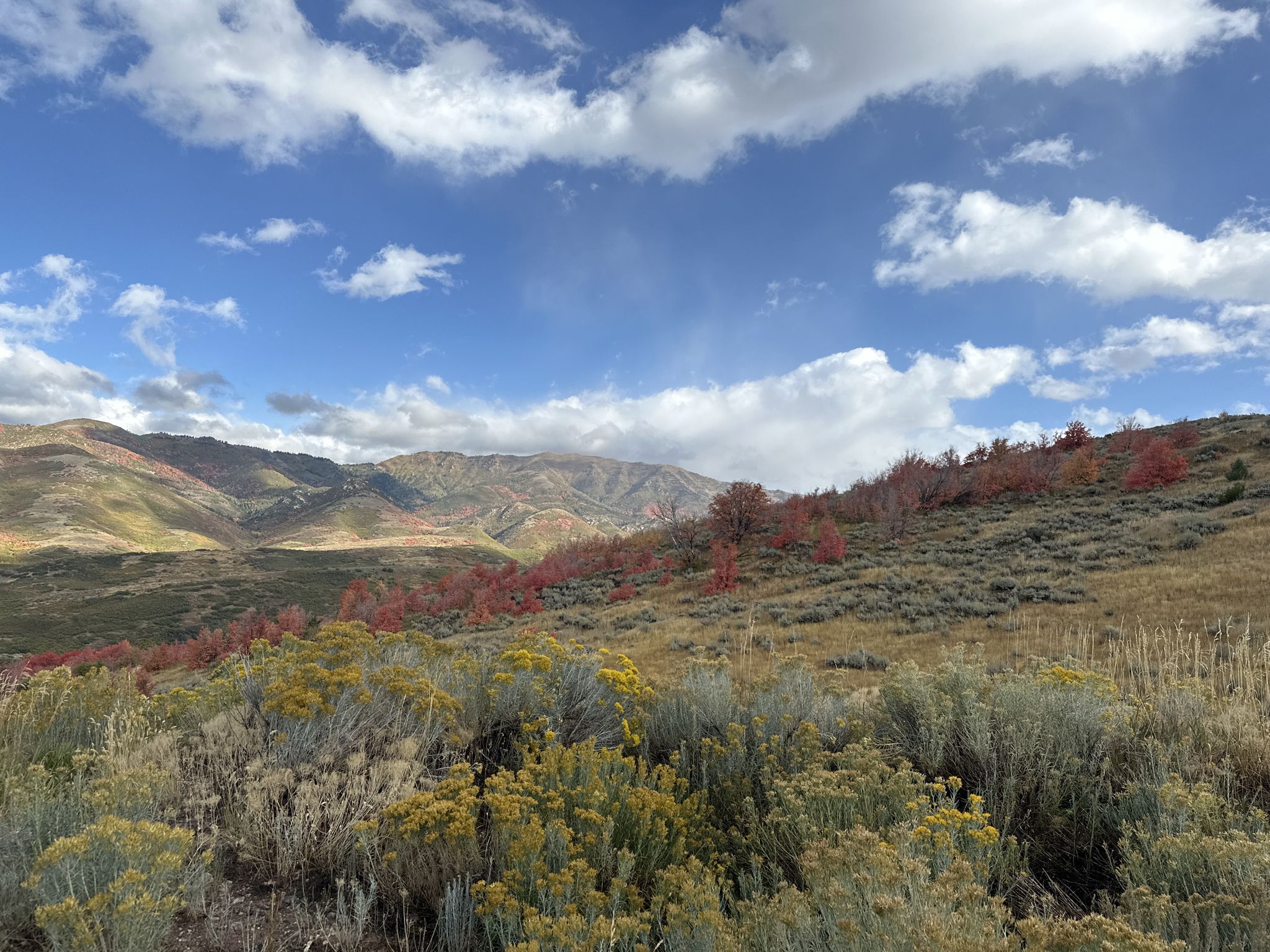 Mountain landscape with vibrant red and yellow autumn foliage under a cloudy sky. - Little Mountain Summit – Sugar House Park loop from Skyline High School