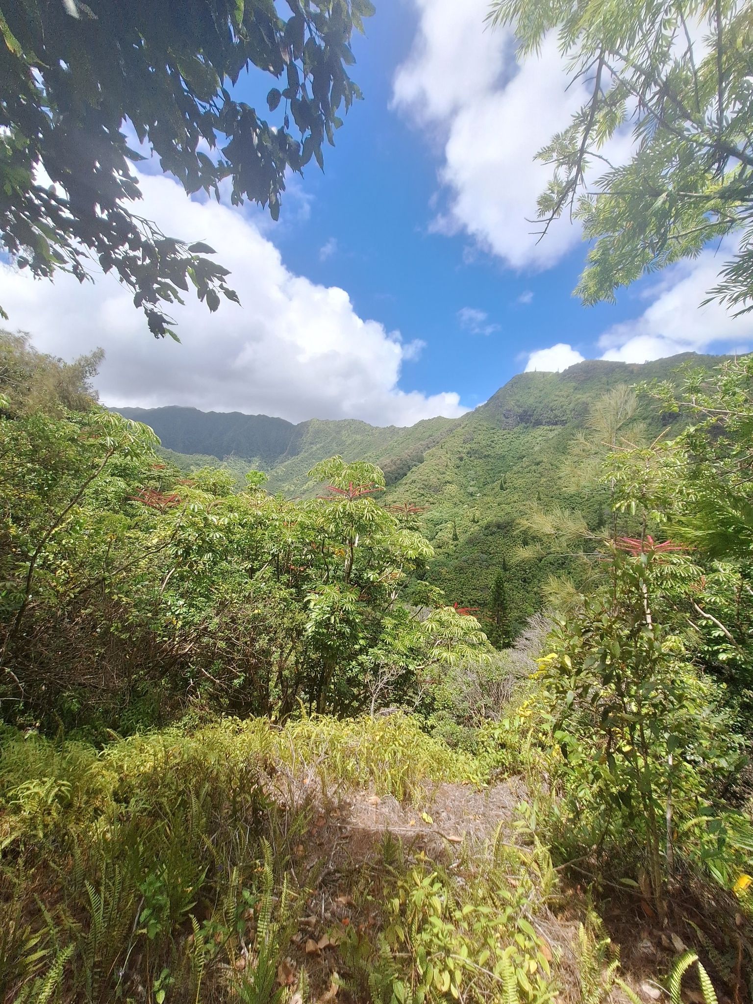 Sunny view of a lush green valley with distant mountains and blue sky. - Awesome views – Maakua Ridge Trailhead loop from Hauula