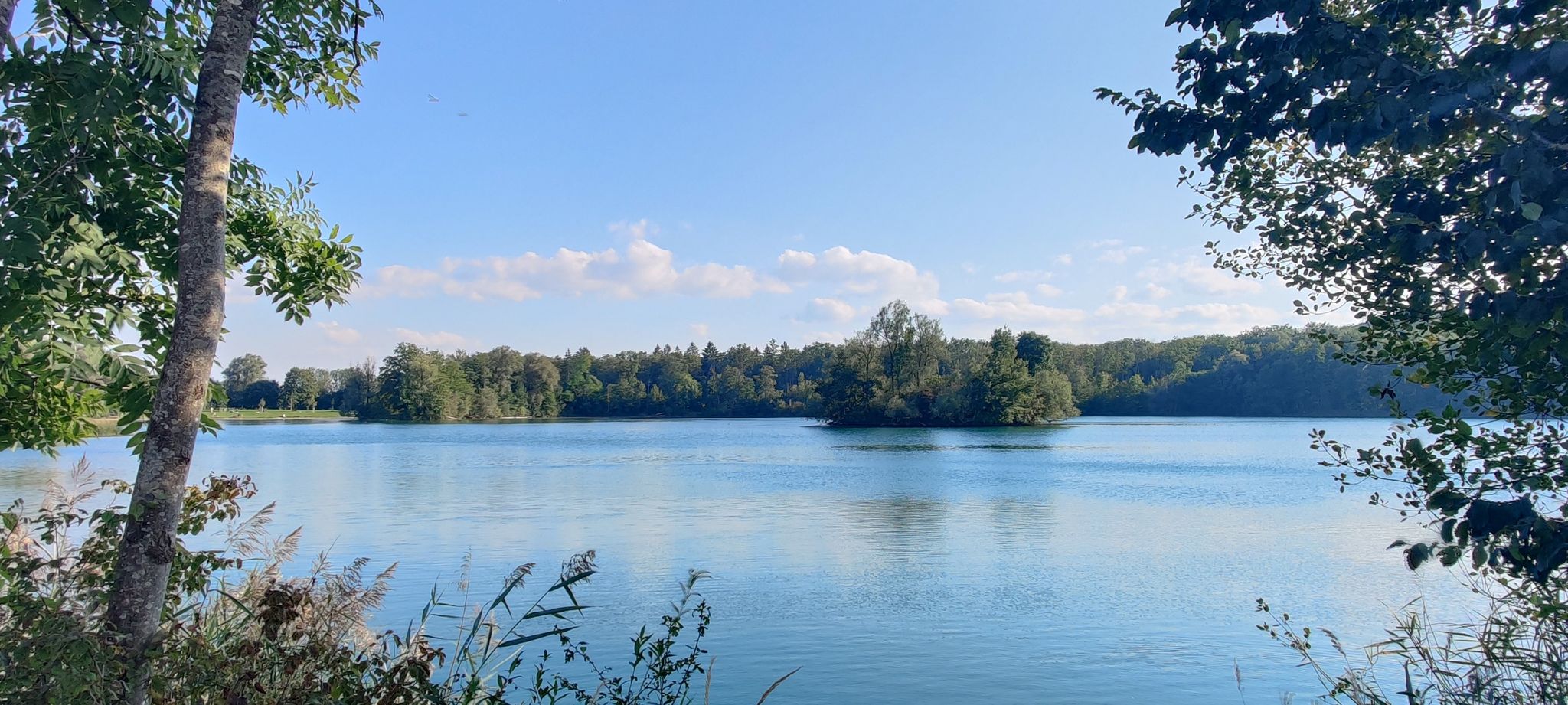 Südlicher Waldsee bei Senden