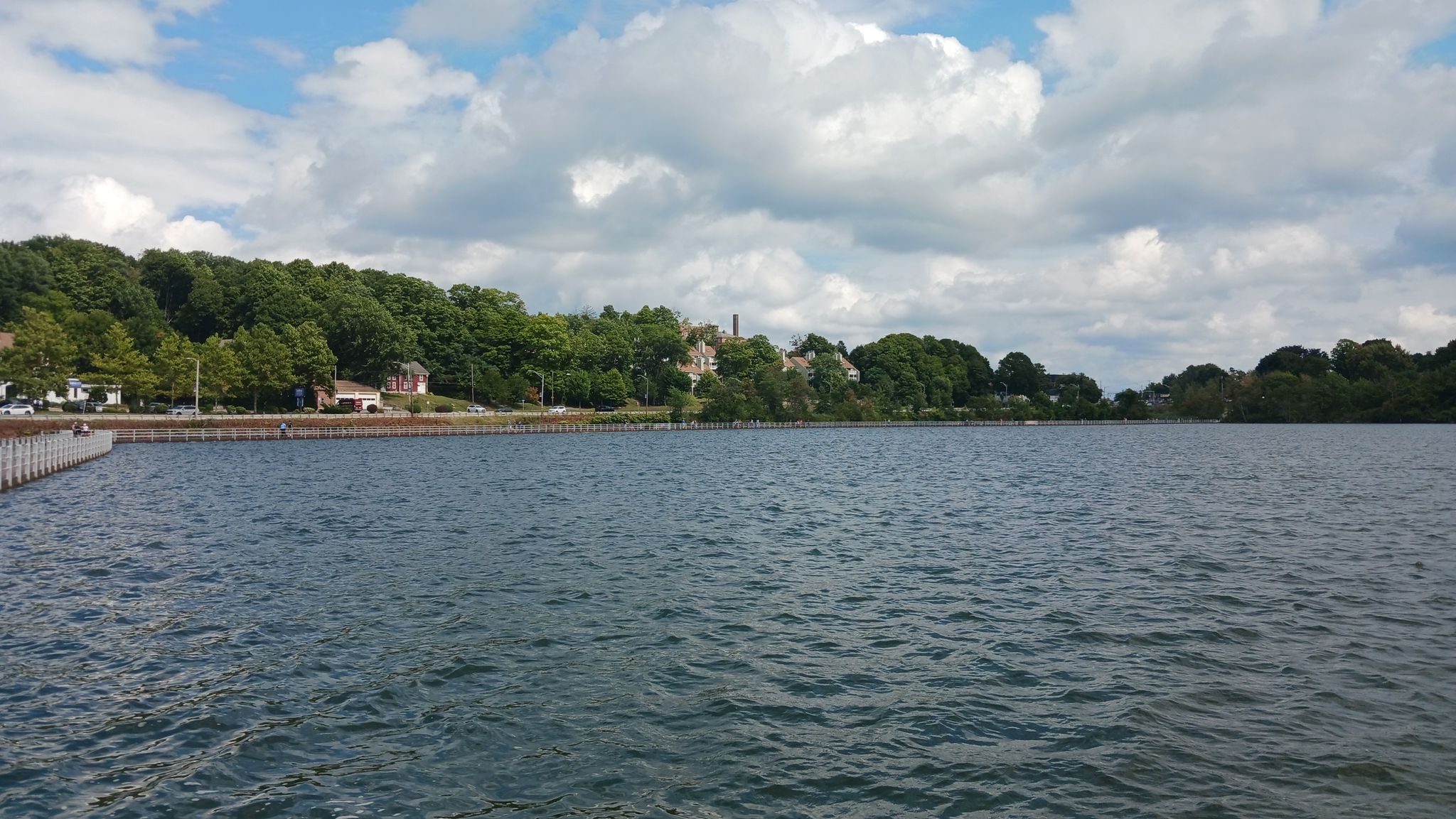 Wide lake with distant treeline and buildings under a cloudy sky. - Lake Williams Boardwalk loop from Marlborough
