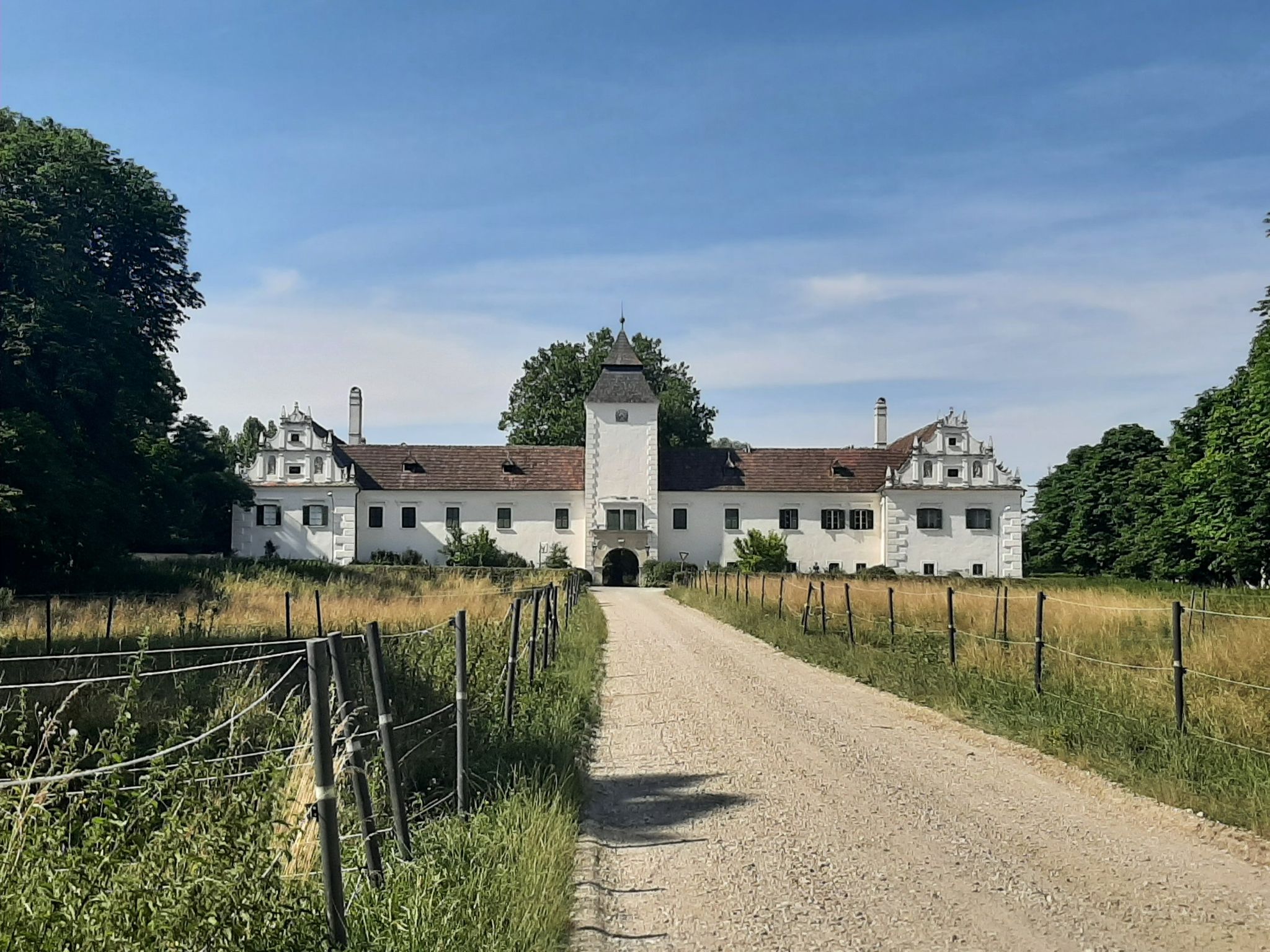 Neuaigen