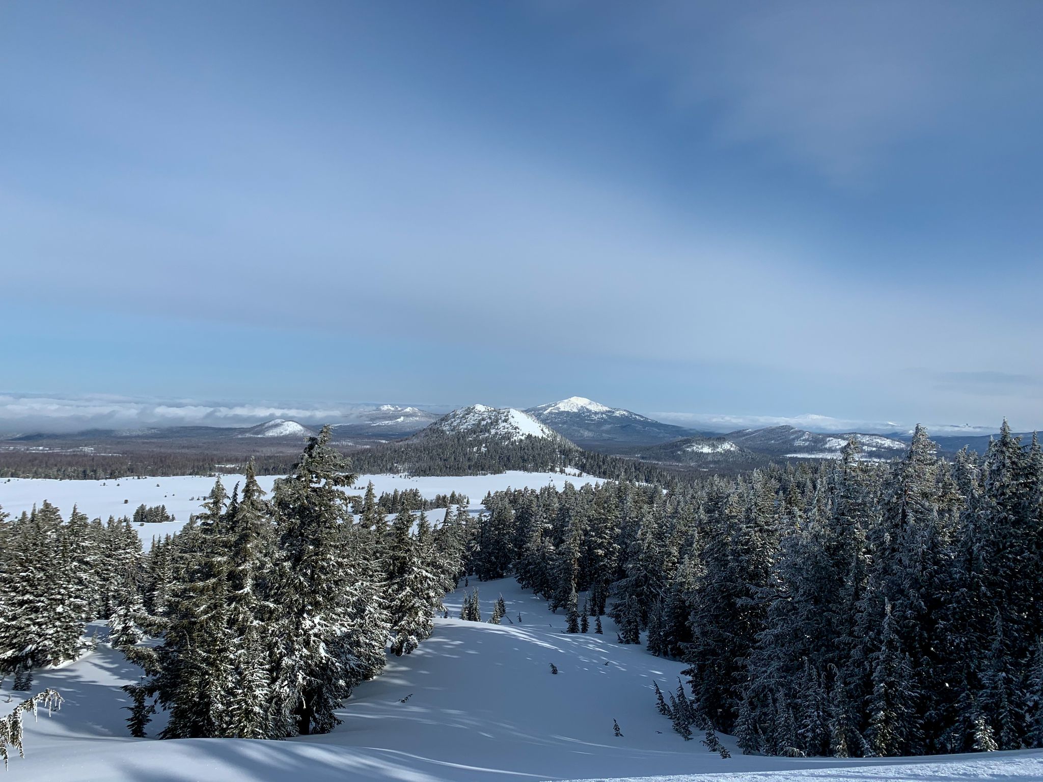 Snowy mountain peaks rise above a vast forest under a clear blue sky. - Merriam Point to Cleetwood Cove