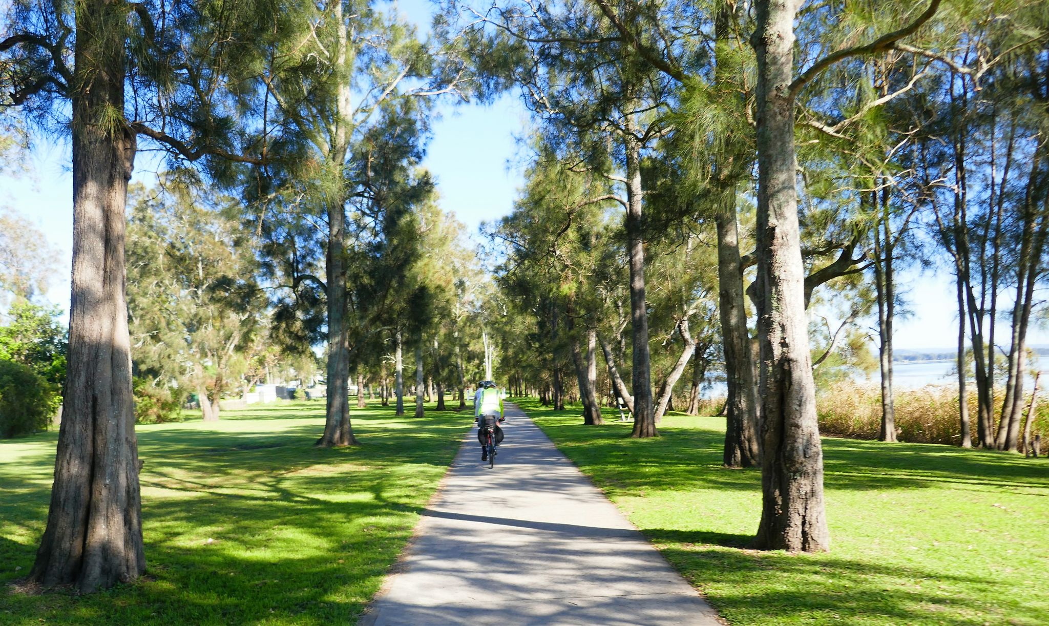 Tuggerah Lake shared path