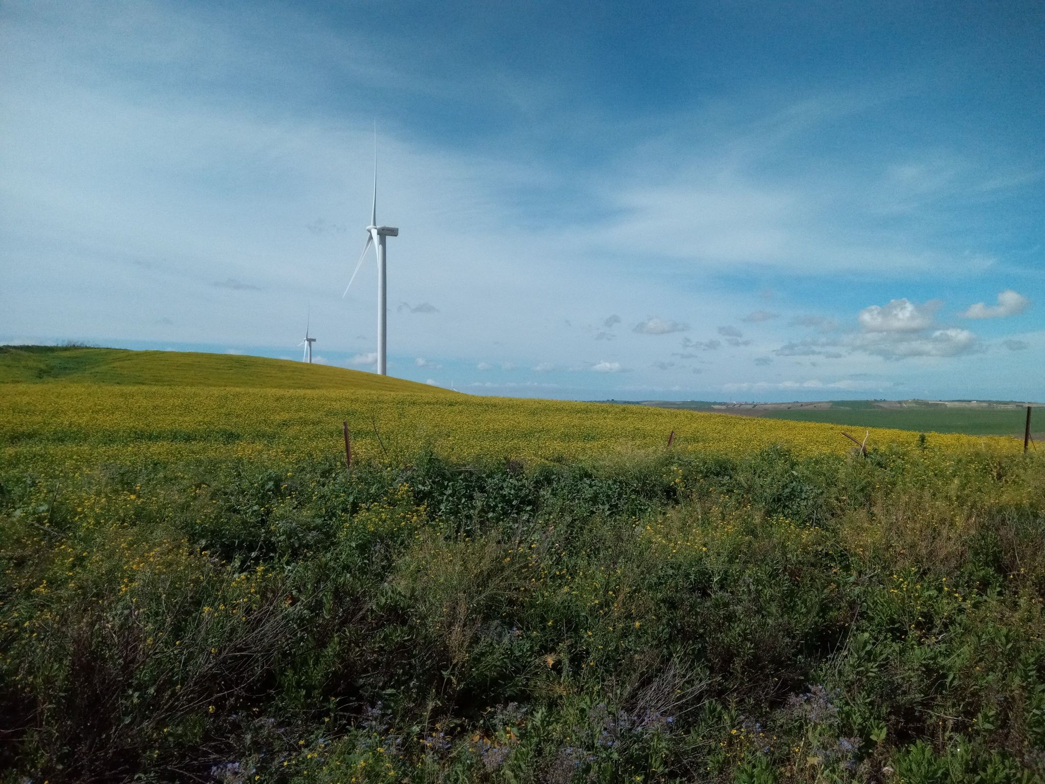 Countryside