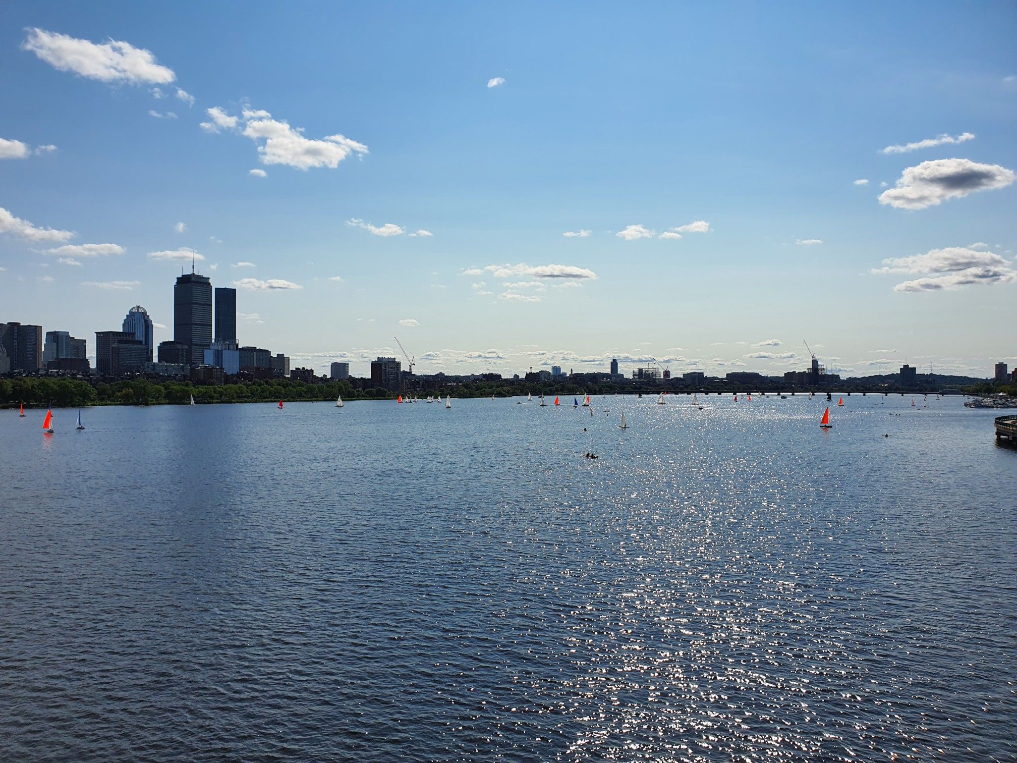 Numerous sailboats dot a wide river with a distant city skyline under a bright blue sky. - Longfellow Bridge – Acorn Street loop from Kendall/MIT