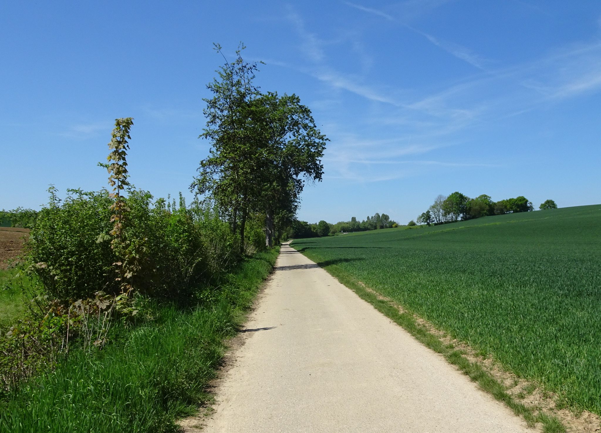 Weg am Tiefenbach
