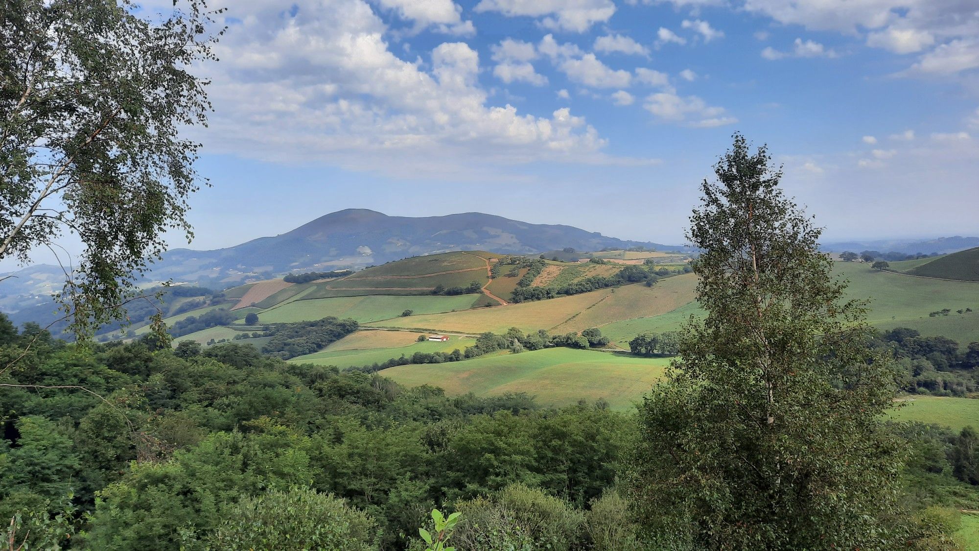 jolie vue du chemin