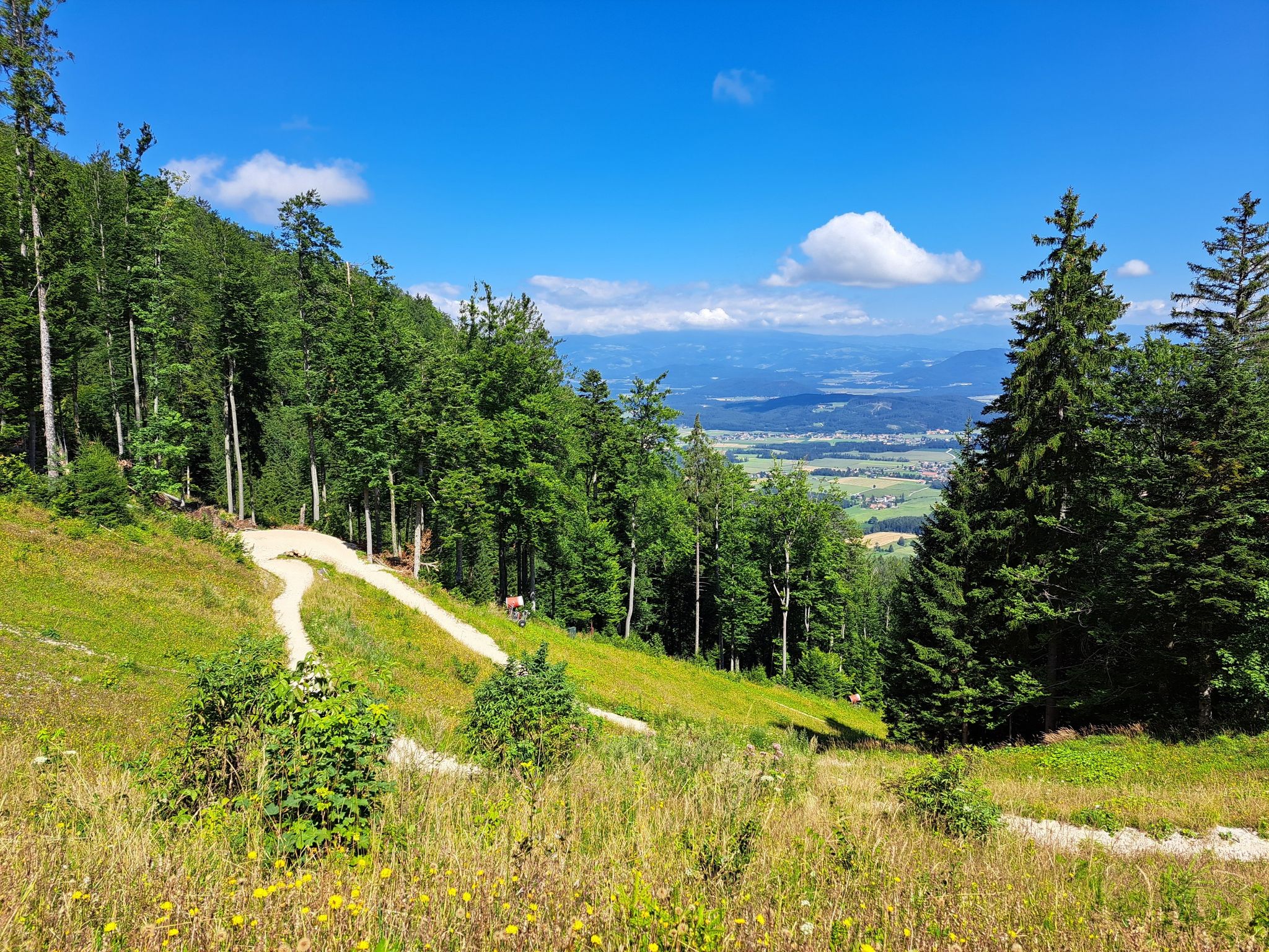Thriller Trail – MTB Zone Bikepark Petzen | Mountainbike-Tour | Komoot