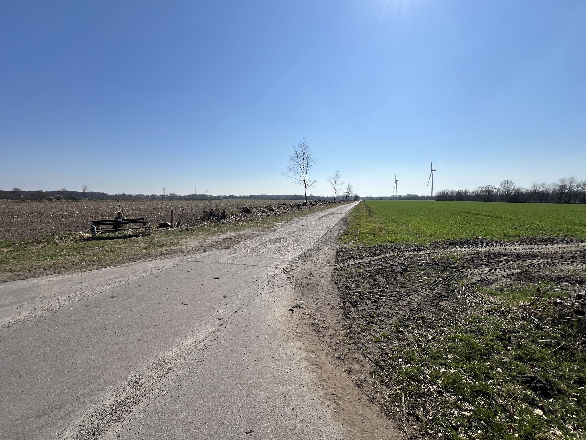 Ochsenweg
