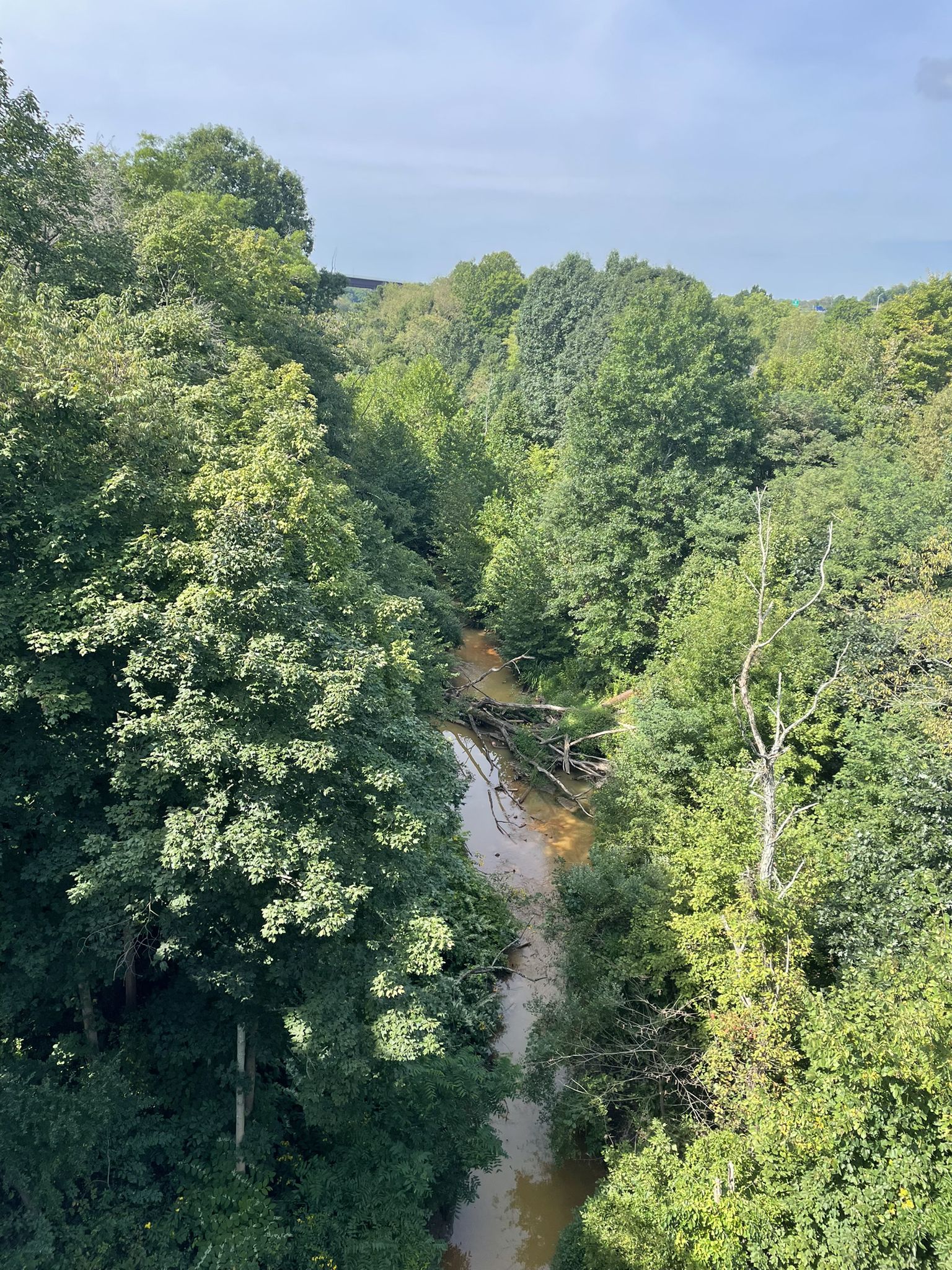 An aerial view of a winding muddy river through a dense green forest. - Montour Trail: McDonald to Venice