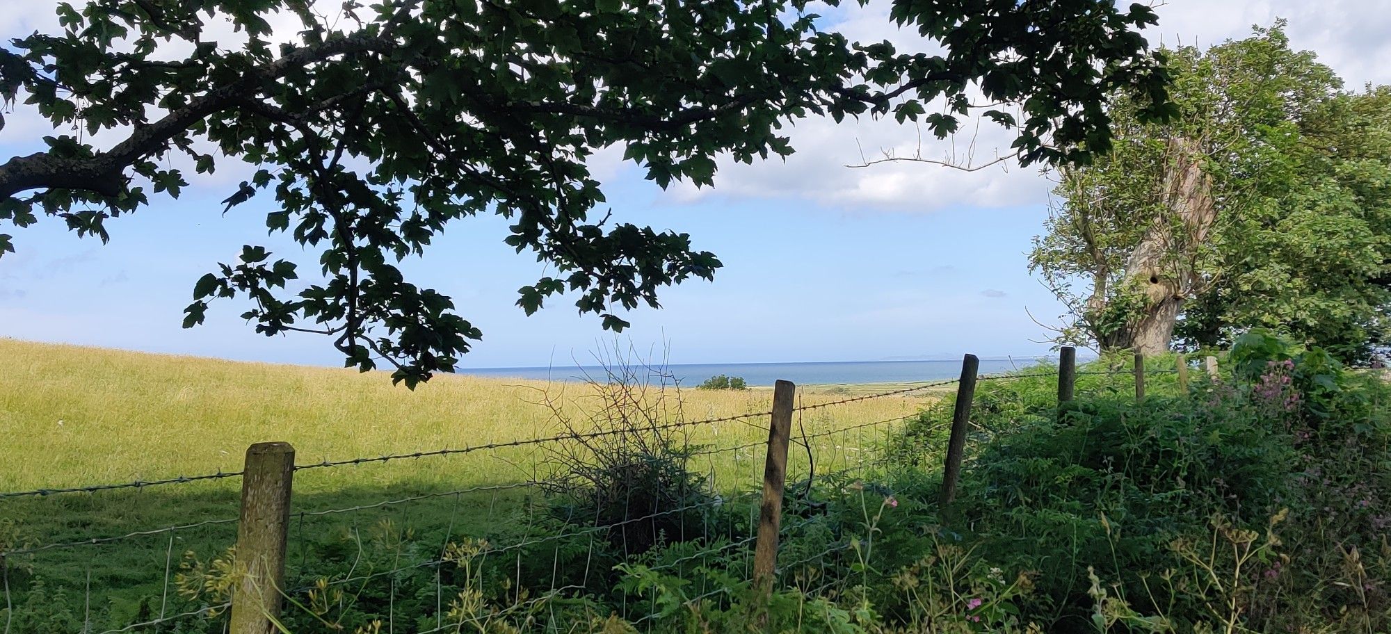 Sea view