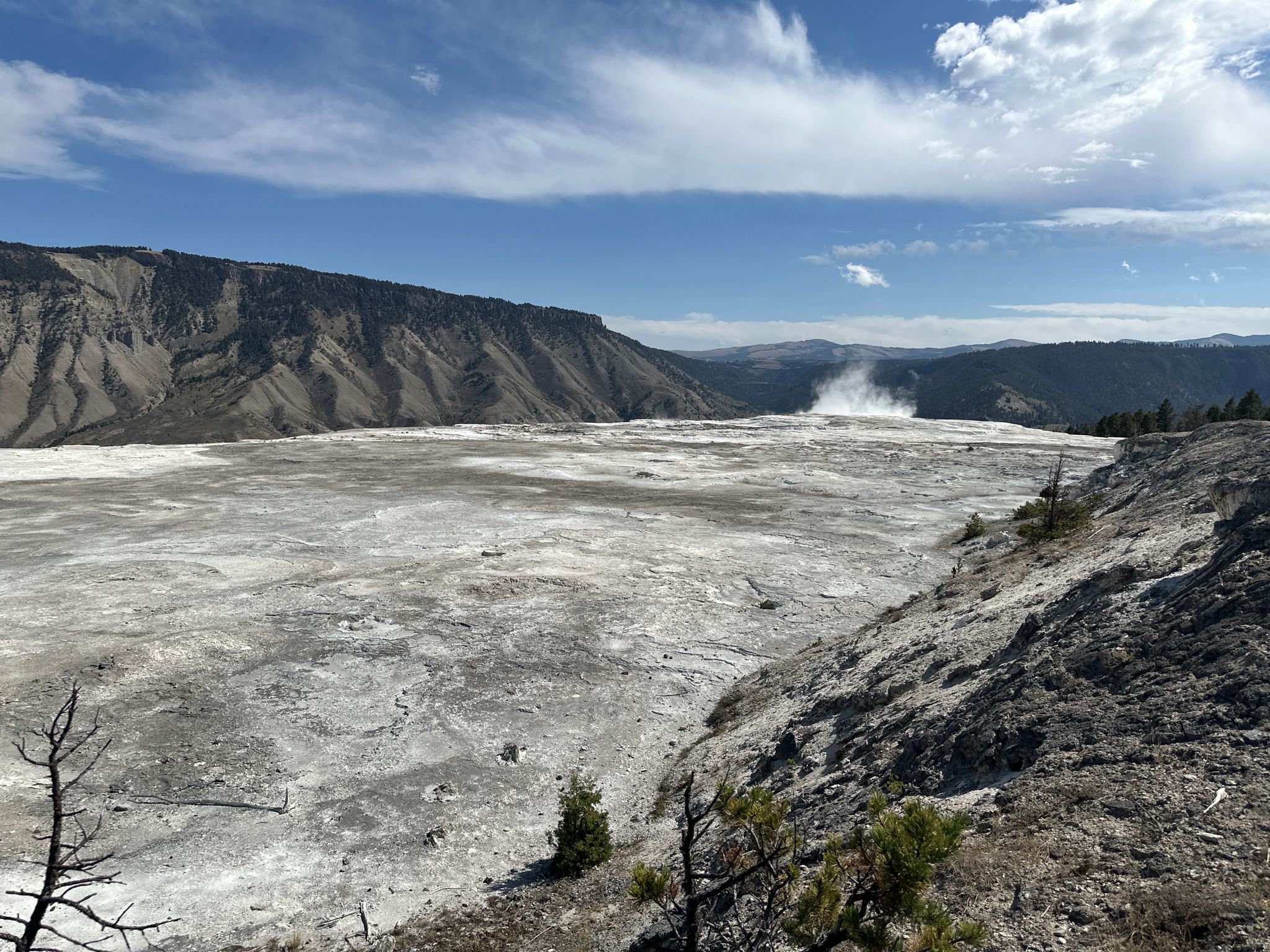 Vast white mineral landscape with steam rising in the distance under a blue sky. - Palette Springs – Mammoth Hot Springs Terraces loop from Nymph Lake