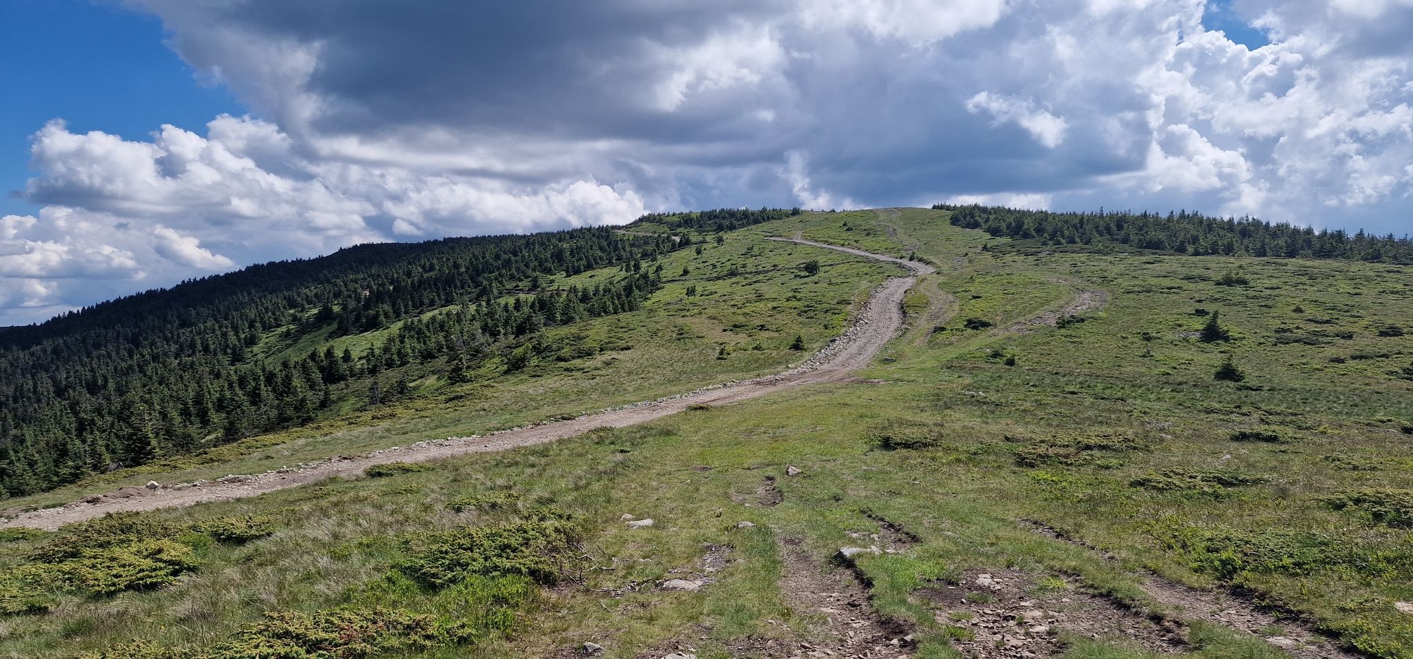 Road to Vladeasa