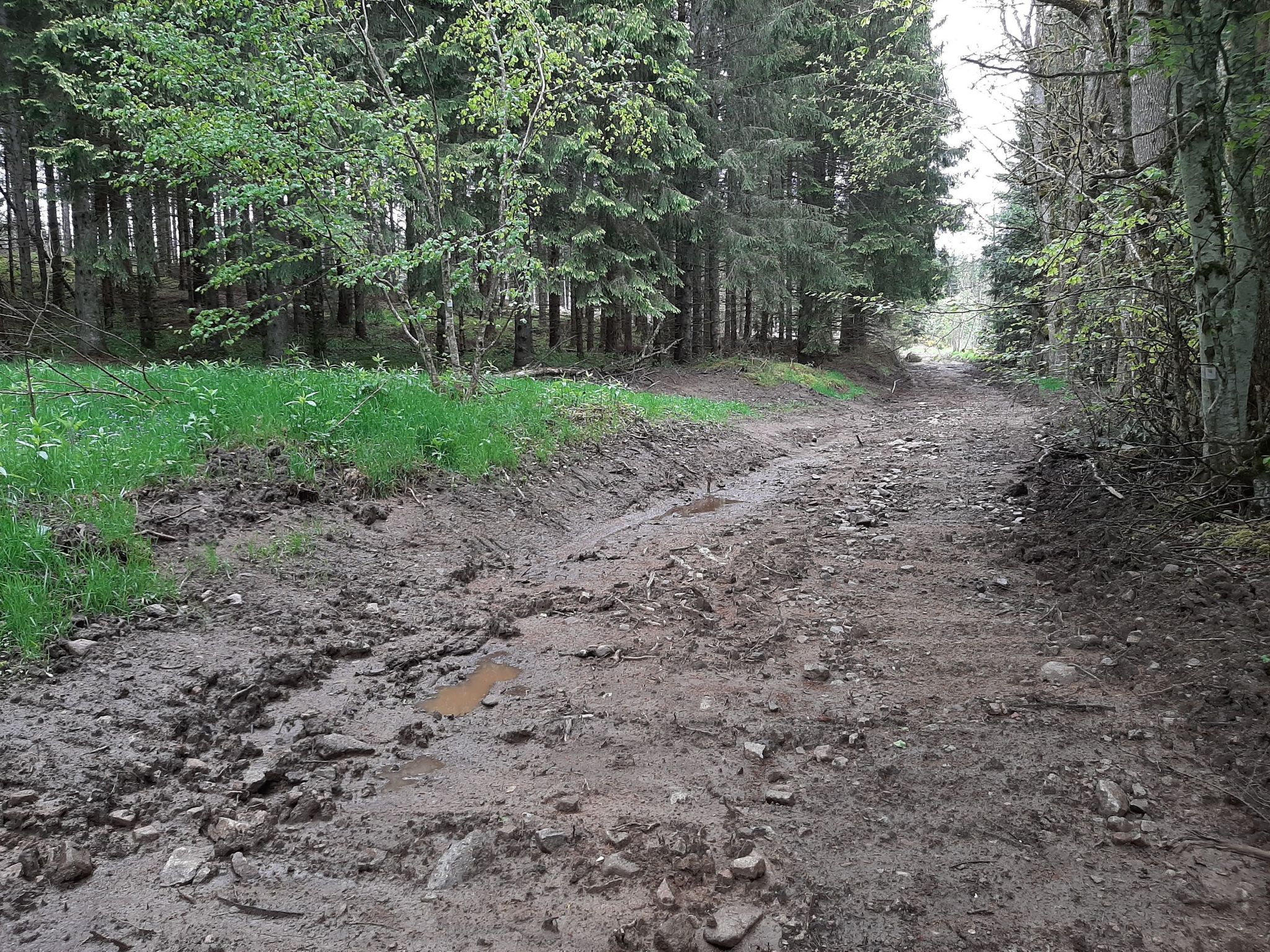 Let op, hier naar links