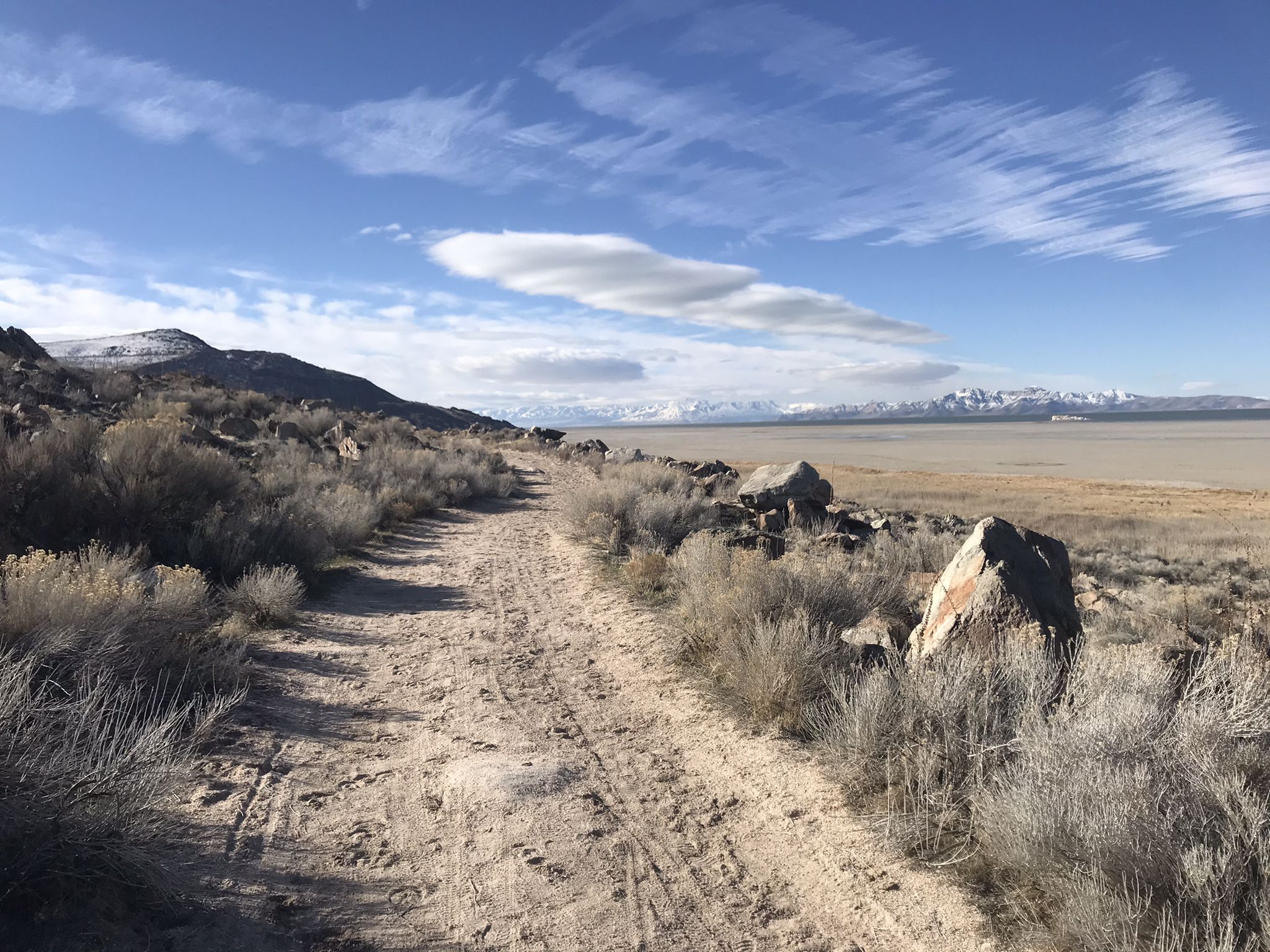 Dirt road winds through desert shrubs towards distant water and mountains. - Elephant Head Trail