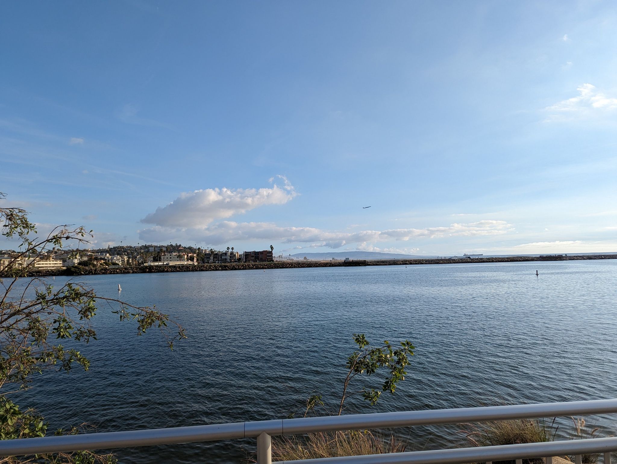 Wide view of a harbor with distant land under a clear sky. - Ballona Lagoon – Grand Canal Pathway loop from Marina del Rey