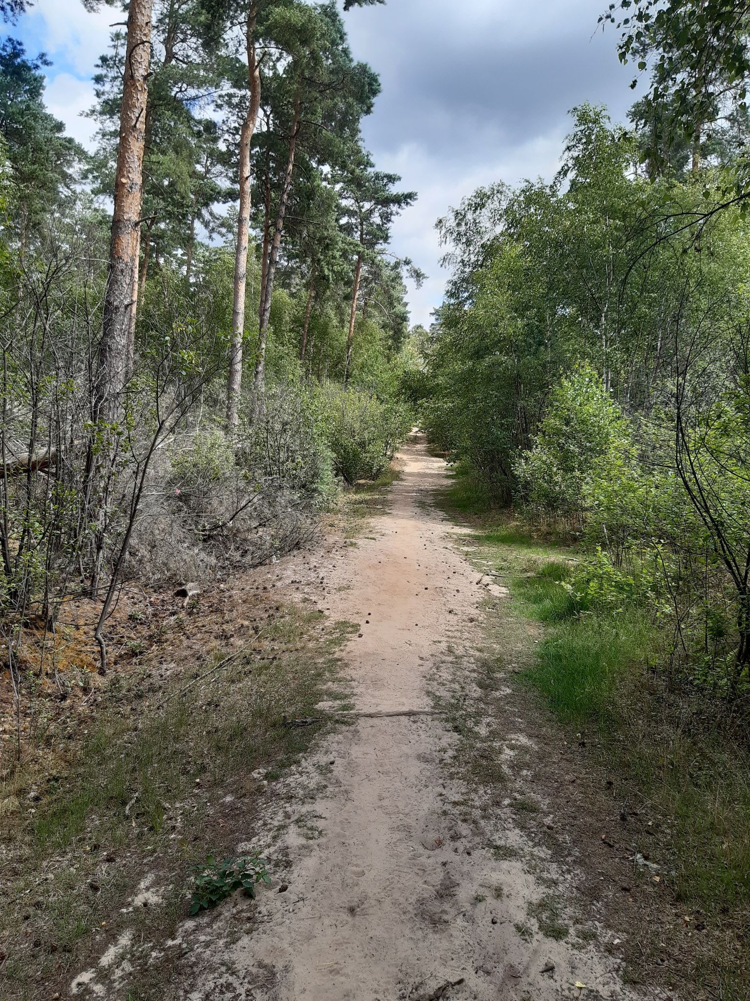 Sandstrecke 
