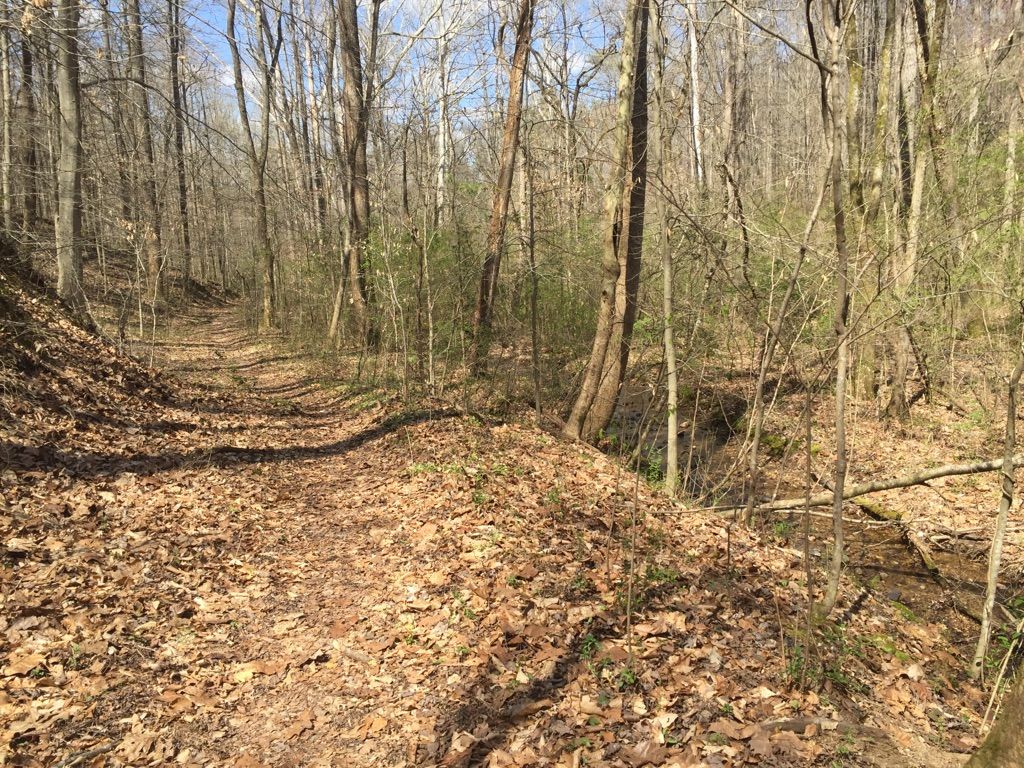 Creek in the valley