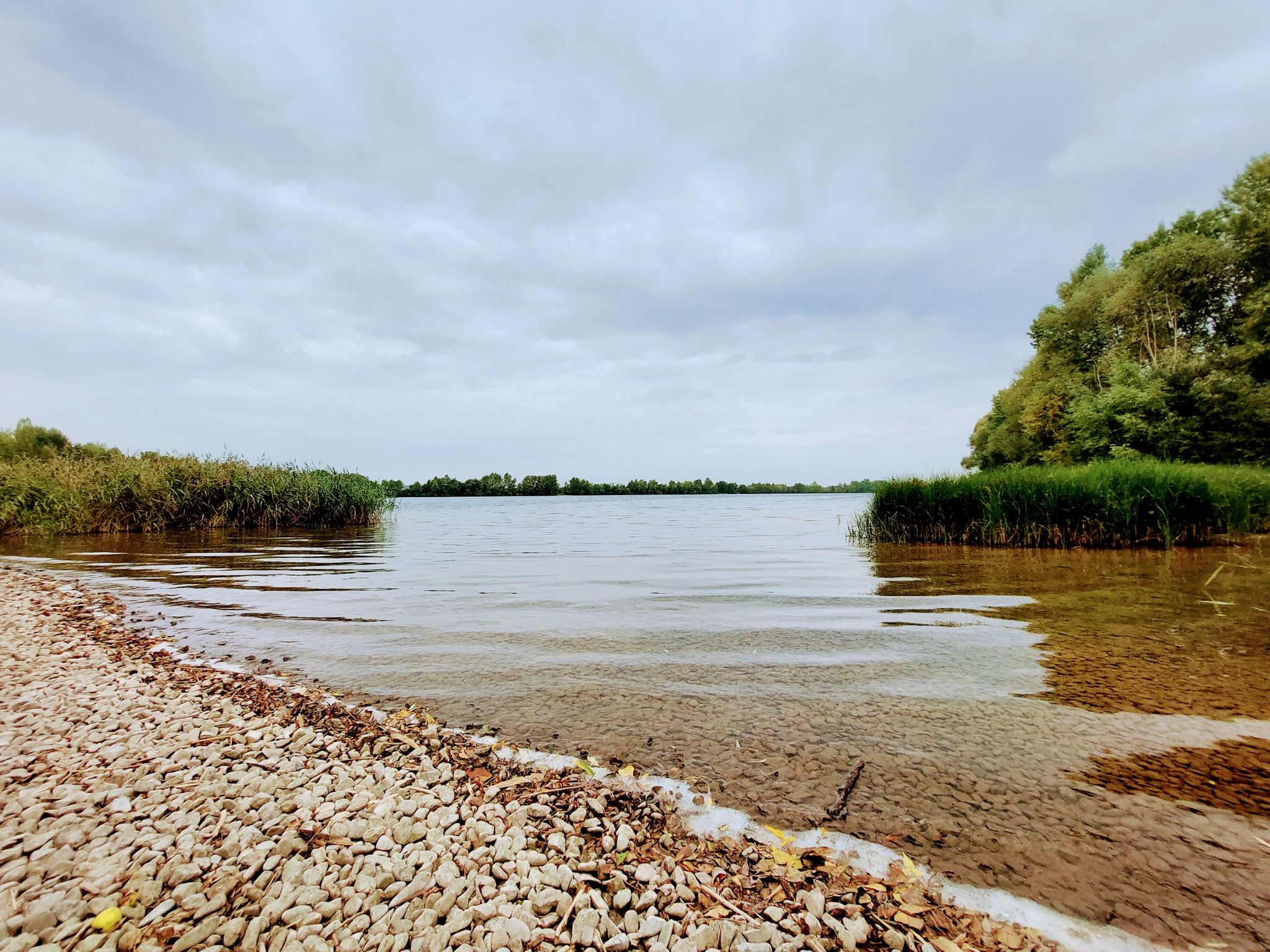 Mövensee