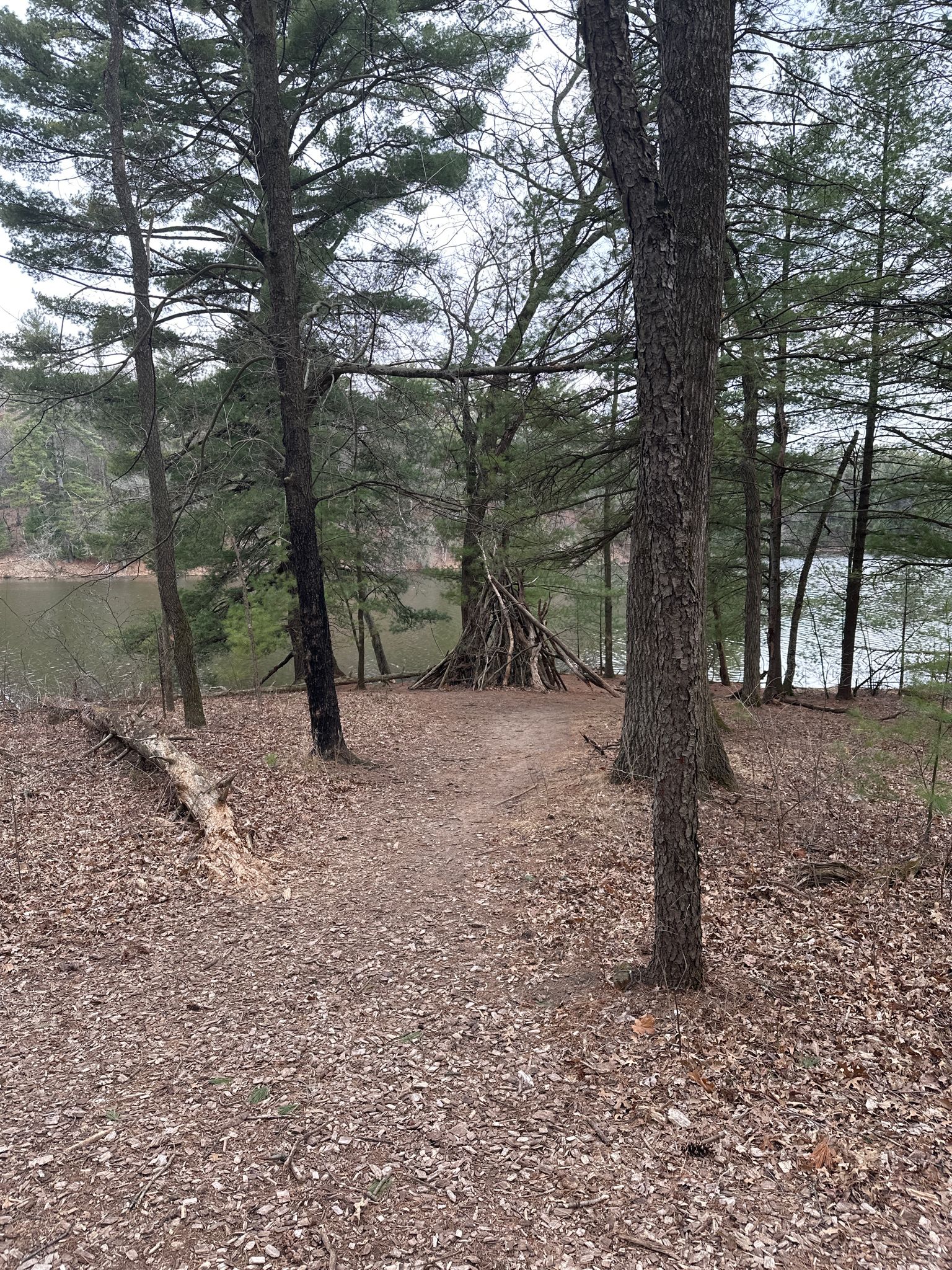 A dirt path leads to a stick fort by a calm lake under diffused light. - Ishnala Trail and Echo Rock Trail Loop