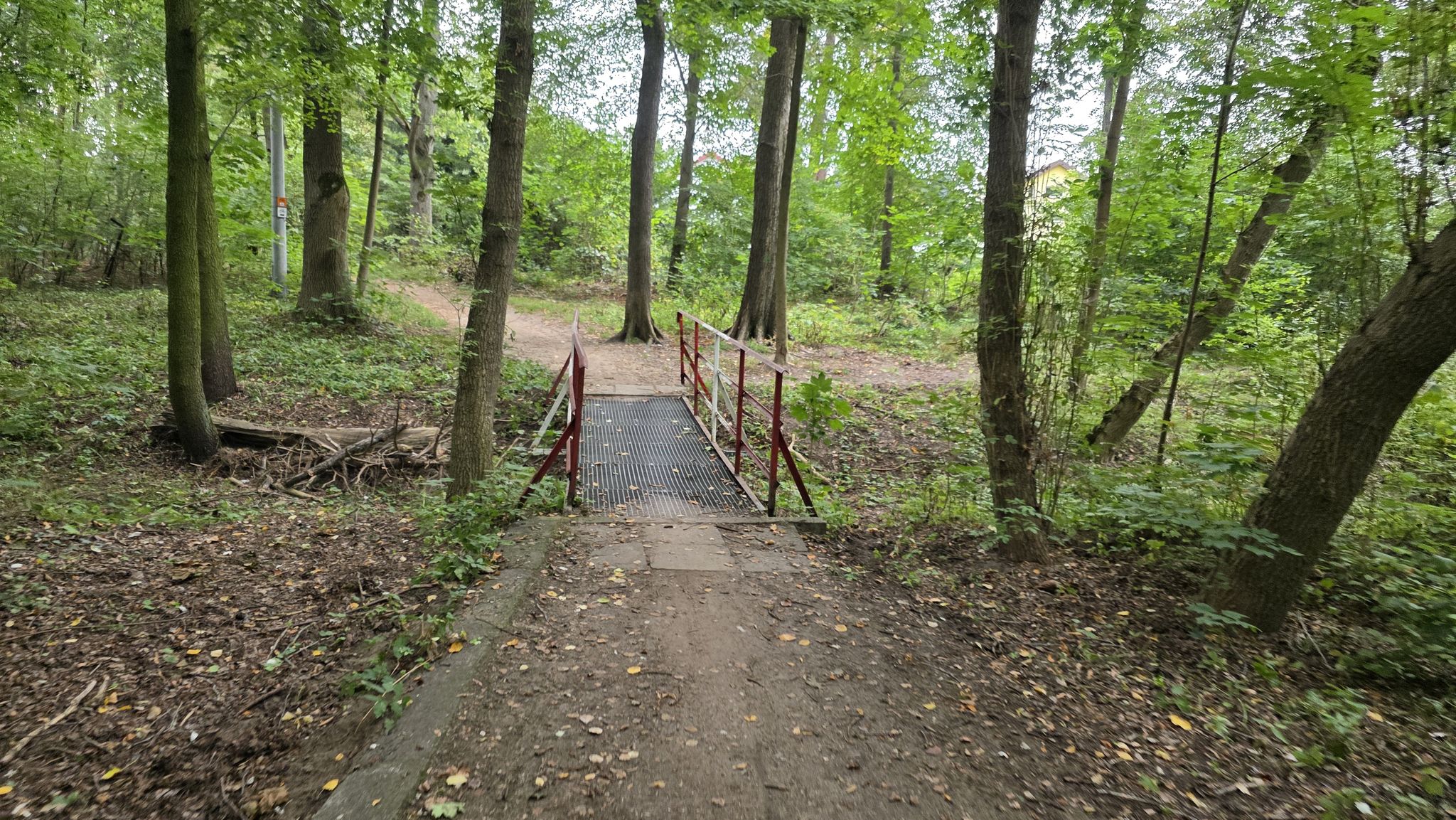 A tu mostek na starorzeczu Mieni (aż sprawdziłem) :-)