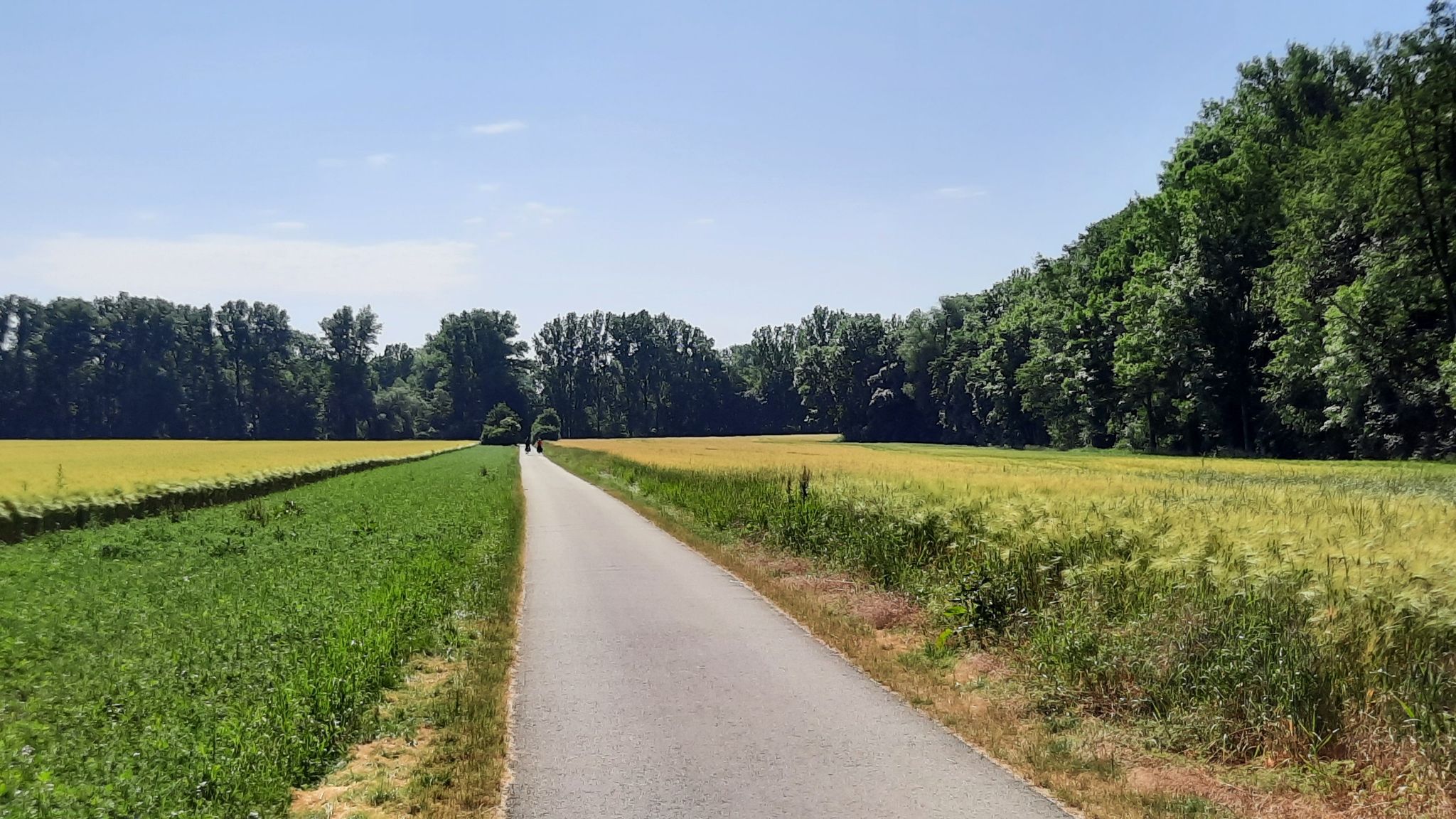 auf dem Ilmradweg