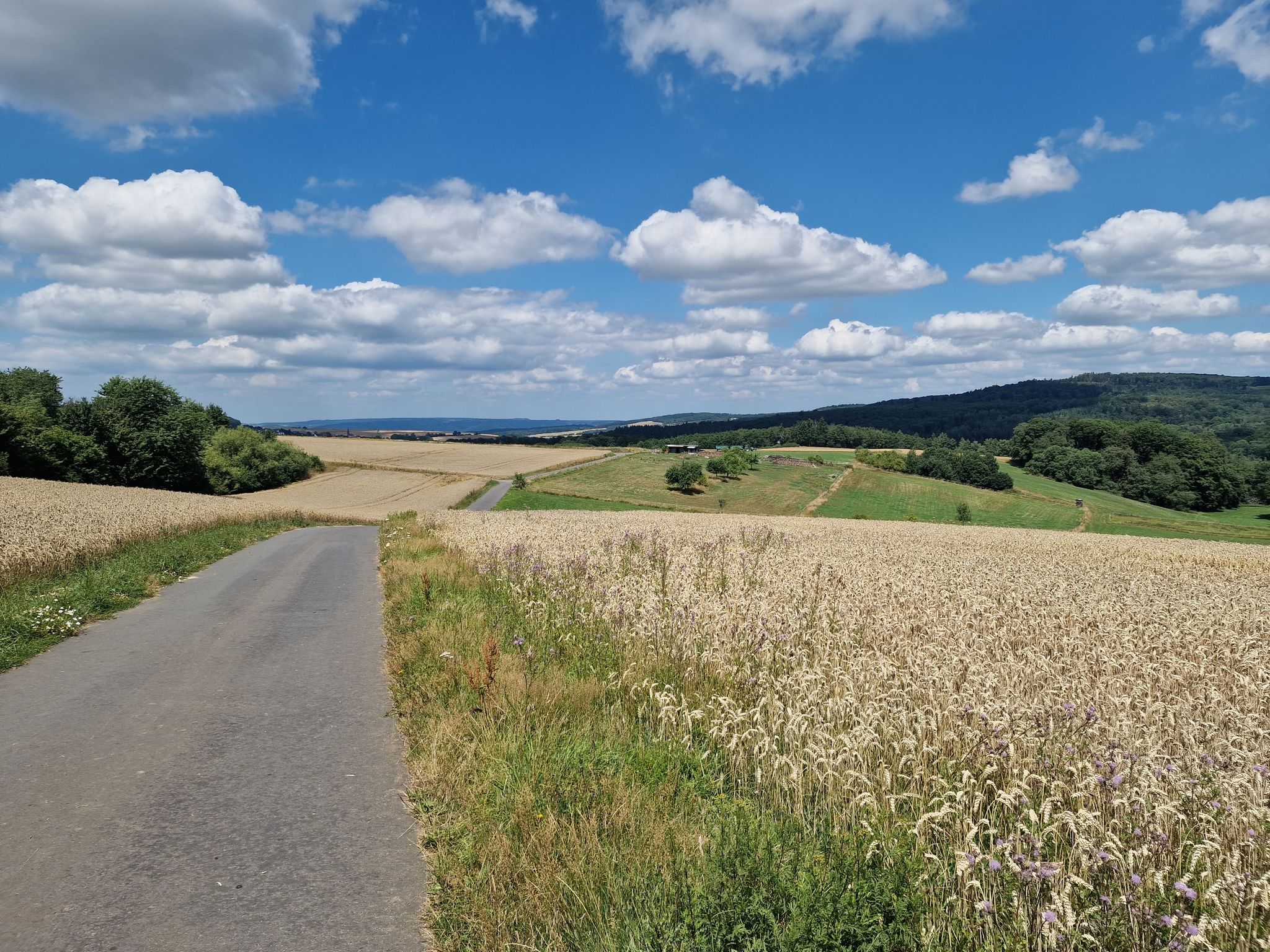 Weg hinunter zur Plätzer Mühle