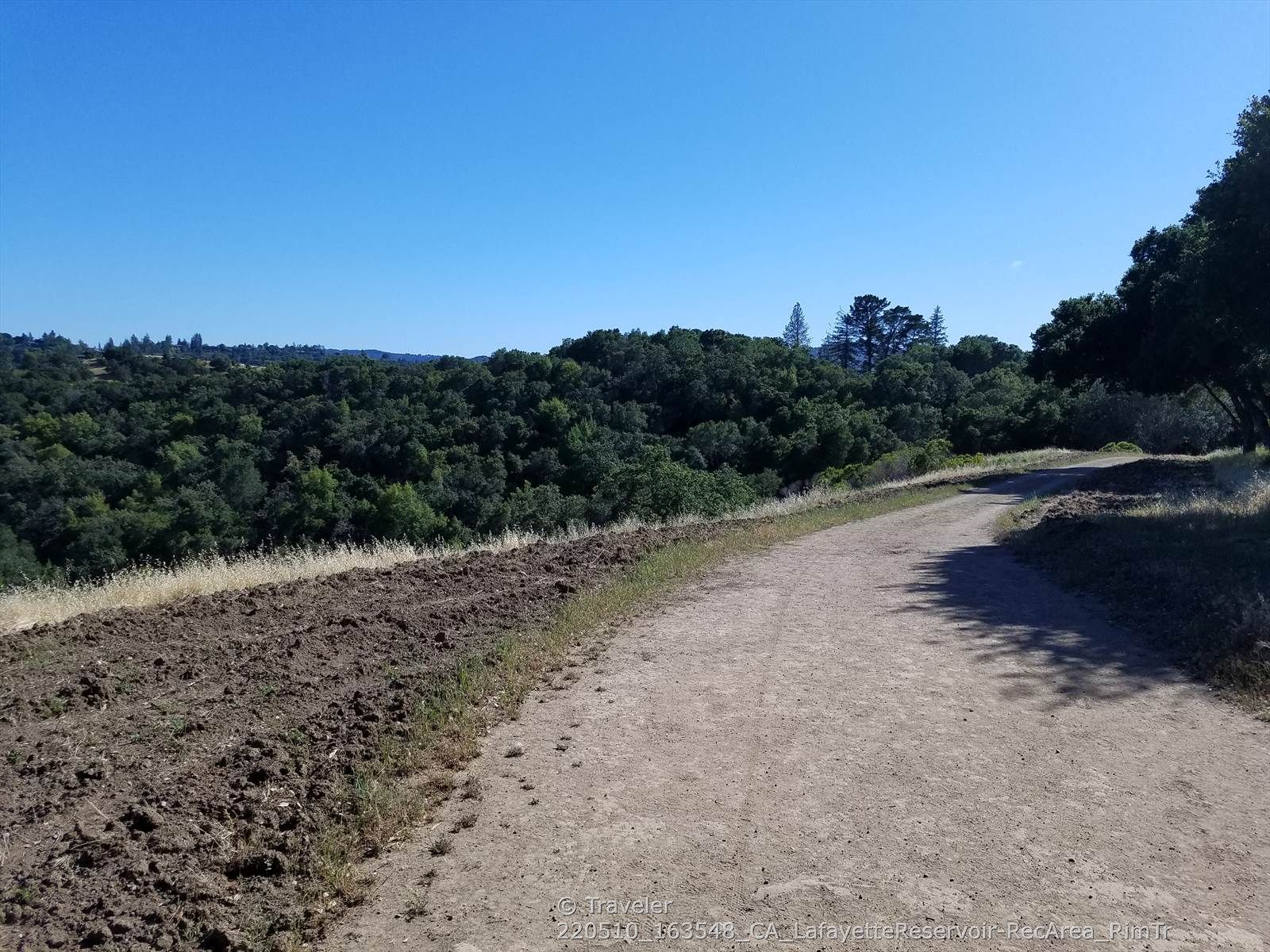 Dirt path winding through dry grass and trees under a clear blue sky. - Lafayette Reservoir – Lafayette Reservoir lookout loop from Orinda
