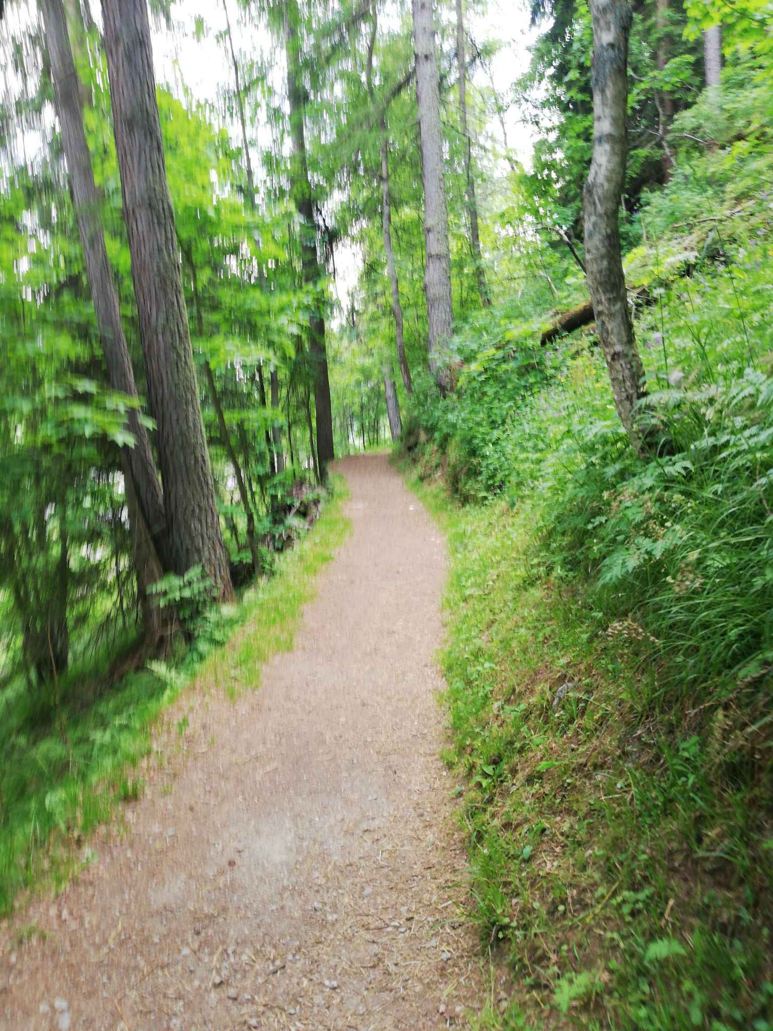 Passeggiata della regina Margherita di Savoia 