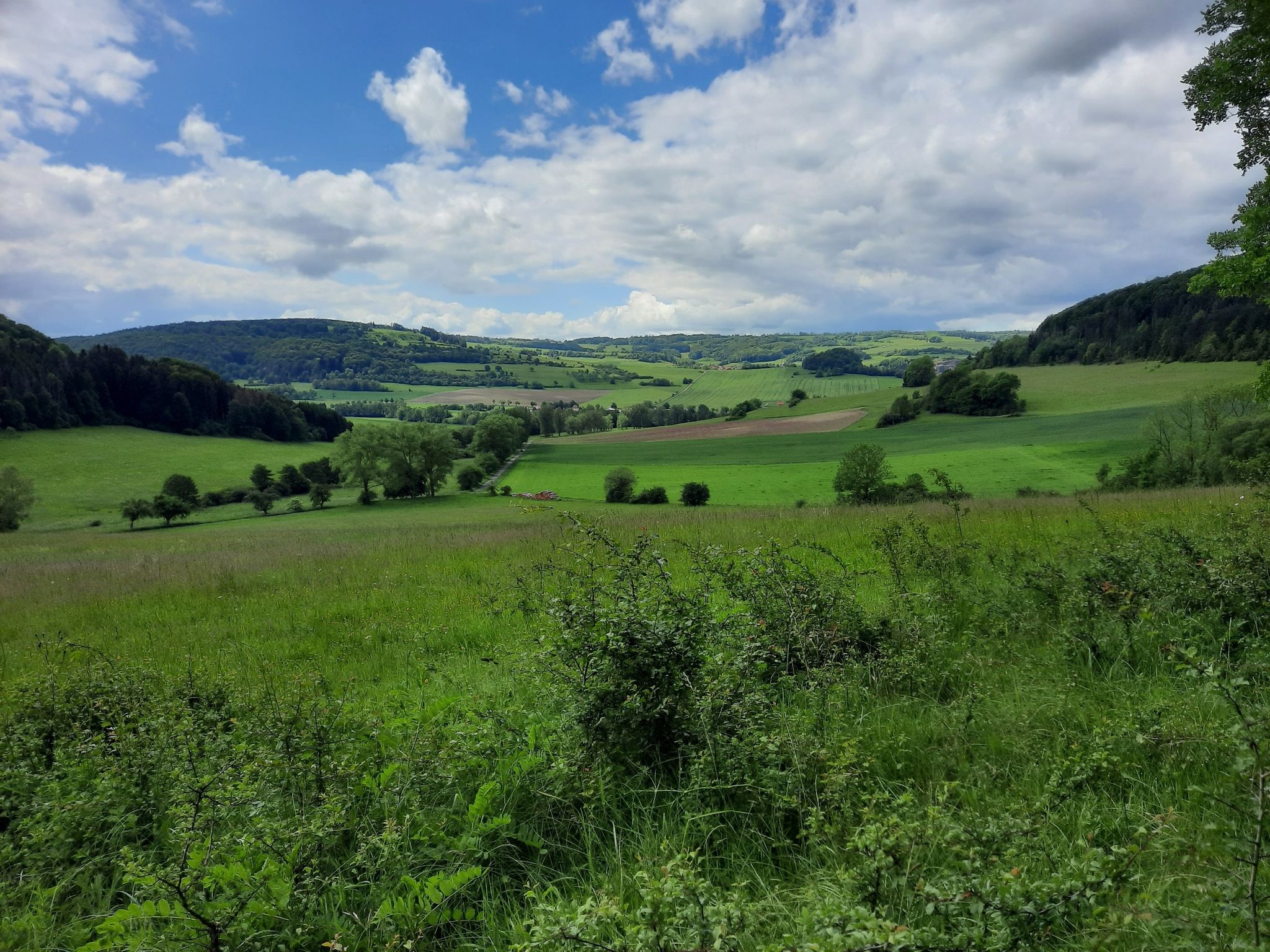 wieder schöner Ausblick